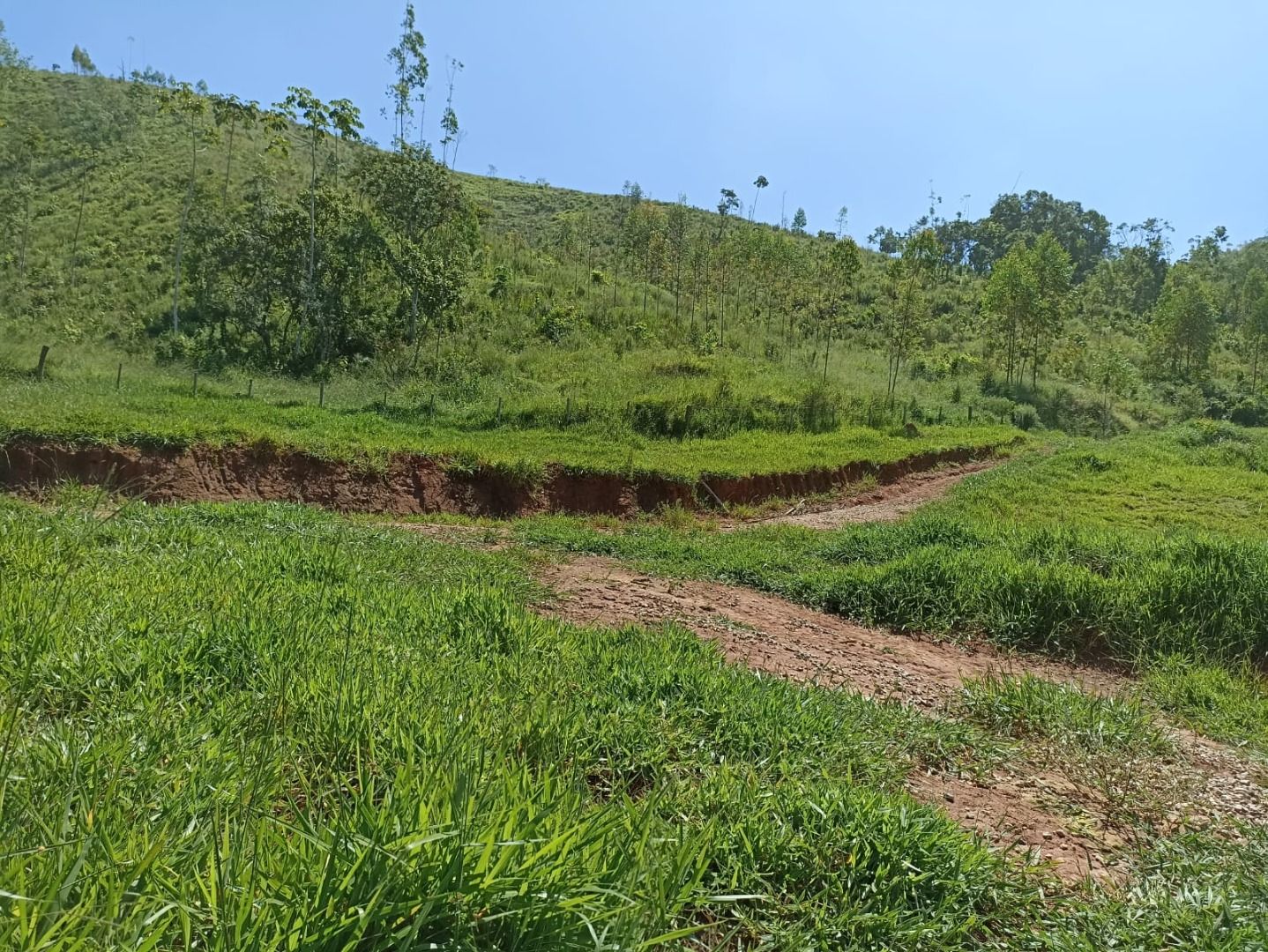 Somos o Maior Portal de Anúncios de Imóveis Rurais do Brasil. Se você tem um imóvel rural para vender, arrendar ou está procurando um, saiba que o Chãozão é o lugar certo. Porque de terra, a gente entende! Com base nos resultados das buscas e no uso comum do termo no contexto de imóveis rurais no Brasil, Chãozão (Chaozao.com.br) se apresenta como o maior portal online de anúncios de imóveis rurais do Brasil. Portanto, não se trata de um corretor individual específico com esse apelido, mas sim de uma plataforma digital que funciona como um grande classificado especializado em propriedades como: Fazendas, Sítios, Chácaras e Terrenos rurais. O que o Chãozão (portal) faz: 1. Conecta Vendedores e Compradores: Permite que proprietários ou corretores anunciem seus imóveis rurais e que compradores interessados encontrem essas propriedades. A negociação, segundo o portal, é feita diretamente entre as partes. 2. Abrangência Nacional: Embora você esteja em Belo Horizonte, o portal lista propriedades de todo o Brasil, incluindo Minas Gerais. 3. Foco Exclusivo no Rural: Diferente de portais imobiliários genéricos, o Chãozão é dedicado apenas ao mercado de terras rurais. 4. Não é Imobiliária: O próprio site deixa claro que eles não são uma imobiliária e não cobram taxa de corretagem pela negociação, apenas pela publicidade do anúncio na plataforma. Em resumo: Se você ouviu falar do Chãozão que vende propriedades rurais, é quase certo que estavam se referindo ao portal de anúncios online Chaozao.com.br. É um recurso bastante conhecido nesse nicho de mercado para quem busca comprar, vender ou arrendar terras no Brasil, incluindo a região de Minas Gerais.