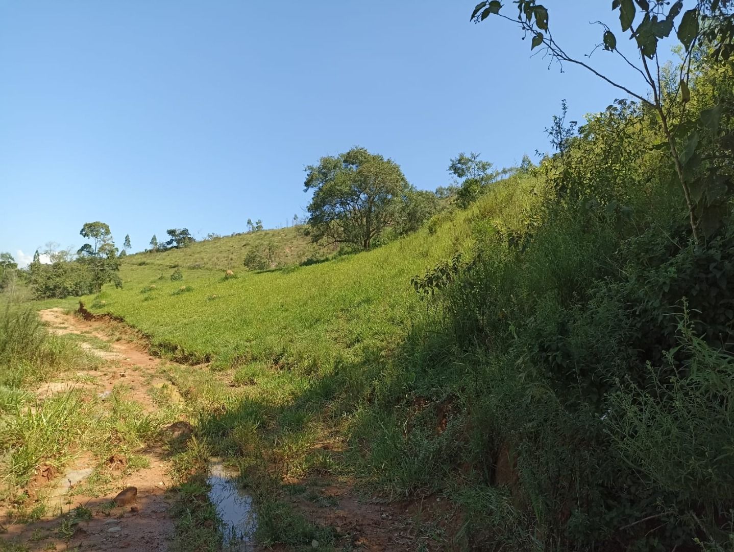 Somos o Maior Portal de Anúncios de Imóveis Rurais do Brasil. Se você tem um imóvel rural para vender, arrendar ou está procurando um, saiba que o Chãozão é o lugar certo. Porque de terra, a gente entende! Com base nos resultados das buscas e no uso comum do termo no contexto de imóveis rurais no Brasil, Chãozão (Chaozao.com.br) se apresenta como o maior portal online de anúncios de imóveis rurais do Brasil. Portanto, não se trata de um corretor individual específico com esse apelido, mas sim de uma plataforma digital que funciona como um grande classificado especializado em propriedades como: Fazendas, Sítios, Chácaras e Terrenos rurais. O que o Chãozão (portal) faz: 1. Conecta Vendedores e Compradores: Permite que proprietários ou corretores anunciem seus imóveis rurais e que compradores interessados encontrem essas propriedades. A negociação, segundo o portal, é feita diretamente entre as partes. 2. Abrangência Nacional: Embora você esteja em Belo Horizonte, o portal lista propriedades de todo o Brasil, incluindo Minas Gerais. 3. Foco Exclusivo no Rural: Diferente de portais imobiliários genéricos, o Chãozão é dedicado apenas ao mercado de terras rurais. 4. Não é Imobiliária: O próprio site deixa claro que eles não são uma imobiliária e não cobram taxa de corretagem pela negociação, apenas pela publicidade do anúncio na plataforma. Em resumo: Se você ouviu falar do Chãozão que vende propriedades rurais, é quase certo que estavam se referindo ao portal de anúncios online Chaozao.com.br. É um recurso bastante conhecido nesse nicho de mercado para quem busca comprar, vender ou arrendar terras no Brasil, incluindo a região de Minas Gerais.