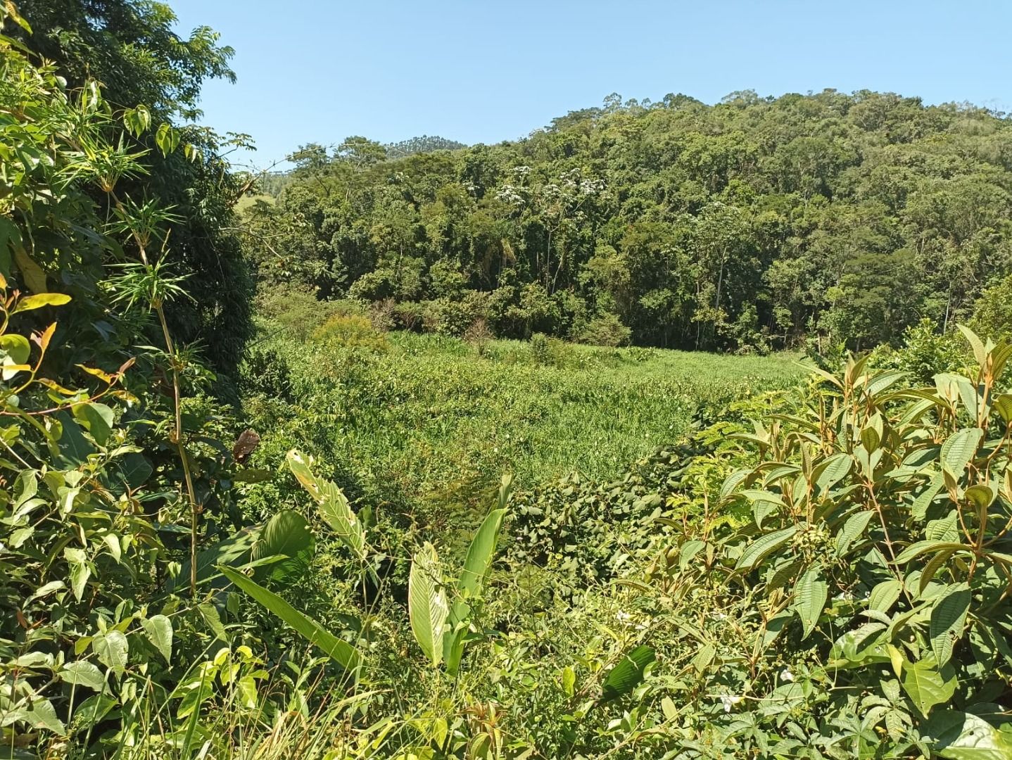 Somos o Maior Portal de Anúncios de Imóveis Rurais do Brasil. Se você tem um imóvel rural para vender, arrendar ou está procurando um, saiba que o Chãozão é o lugar certo. Porque de terra, a gente entende! Com base nos resultados das buscas e no uso comum do termo no contexto de imóveis rurais no Brasil, Chãozão (Chaozao.com.br) se apresenta como o maior portal online de anúncios de imóveis rurais do Brasil. Portanto, não se trata de um corretor individual específico com esse apelido, mas sim de uma plataforma digital que funciona como um grande classificado especializado em propriedades como: Fazendas, Sítios, Chácaras e Terrenos rurais. O que o Chãozão (portal) faz: 1. Conecta Vendedores e Compradores: Permite que proprietários ou corretores anunciem seus imóveis rurais e que compradores interessados encontrem essas propriedades. A negociação, segundo o portal, é feita diretamente entre as partes. 2. Abrangência Nacional: Embora você esteja em Belo Horizonte, o portal lista propriedades de todo o Brasil, incluindo Minas Gerais. 3. Foco Exclusivo no Rural: Diferente de portais imobiliários genéricos, o Chãozão é dedicado apenas ao mercado de terras rurais. 4. Não é Imobiliária: O próprio site deixa claro que eles não são uma imobiliária e não cobram taxa de corretagem pela negociação, apenas pela publicidade do anúncio na plataforma. Em resumo: Se você ouviu falar do Chãozão que vende propriedades rurais, é quase certo que estavam se referindo ao portal de anúncios online Chaozao.com.br. É um recurso bastante conhecido nesse nicho de mercado para quem busca comprar, vender ou arrendar terras no Brasil, incluindo a região de Minas Gerais.