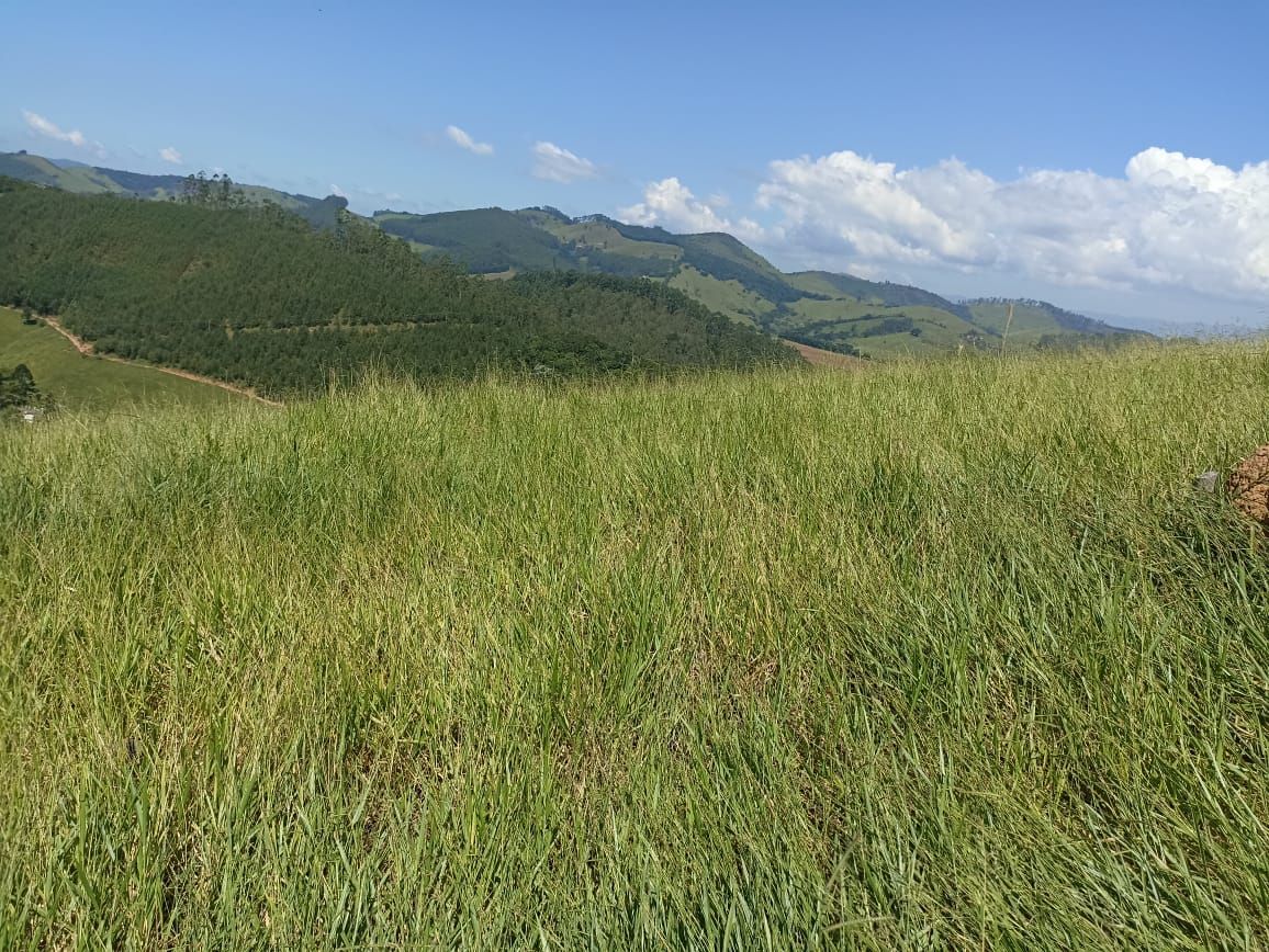 Somos o Maior Portal de Anúncios de Imóveis Rurais do Brasil. Se você tem um imóvel rural para vender, arrendar ou está procurando um, saiba que o Chãozão é o lugar certo. Porque de terra, a gente entende! Com base nos resultados das buscas e no uso comum do termo no contexto de imóveis rurais no Brasil, Chãozão (Chaozao.com.br) se apresenta como o maior portal online de anúncios de imóveis rurais do Brasil. Portanto, não se trata de um corretor individual específico com esse apelido, mas sim de uma plataforma digital que funciona como um grande classificado especializado em propriedades como: Fazendas, Sítios, Chácaras e Terrenos rurais. O que o Chãozão (portal) faz: 1. Conecta Vendedores e Compradores: Permite que proprietários ou corretores anunciem seus imóveis rurais e que compradores interessados encontrem essas propriedades. A negociação, segundo o portal, é feita diretamente entre as partes. 2. Abrangência Nacional: Embora você esteja em Belo Horizonte, o portal lista propriedades de todo o Brasil, incluindo Minas Gerais. 3. Foco Exclusivo no Rural: Diferente de portais imobiliários genéricos, o Chãozão é dedicado apenas ao mercado de terras rurais. 4. Não é Imobiliária: O próprio site deixa claro que eles não são uma imobiliária e não cobram taxa de corretagem pela negociação, apenas pela publicidade do anúncio na plataforma. Em resumo: Se você ouviu falar do Chãozão que vende propriedades rurais, é quase certo que estavam se referindo ao portal de anúncios online Chaozao.com.br. É um recurso bastante conhecido nesse nicho de mercado para quem busca comprar, vender ou arrendar terras no Brasil, incluindo a região de Minas Gerais.