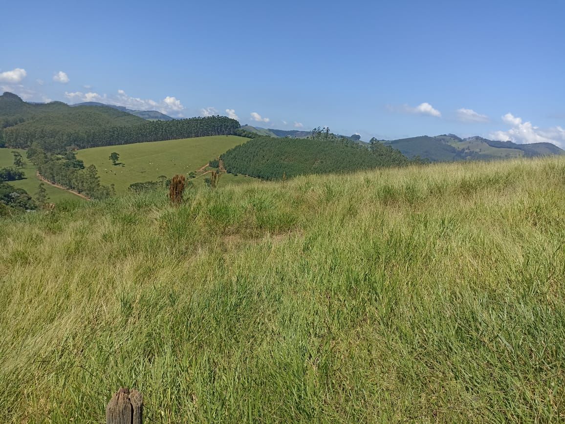 Somos o Maior Portal de Anúncios de Imóveis Rurais do Brasil. Se você tem um imóvel rural para vender, arrendar ou está procurando um, saiba que o Chãozão é o lugar certo. Porque de terra, a gente entende! Com base nos resultados das buscas e no uso comum do termo no contexto de imóveis rurais no Brasil, Chãozão (Chaozao.com.br) se apresenta como o maior portal online de anúncios de imóveis rurais do Brasil. Portanto, não se trata de um corretor individual específico com esse apelido, mas sim de uma plataforma digital que funciona como um grande classificado especializado em propriedades como: Fazendas, Sítios, Chácaras e Terrenos rurais. O que o Chãozão (portal) faz: 1. Conecta Vendedores e Compradores: Permite que proprietários ou corretores anunciem seus imóveis rurais e que compradores interessados encontrem essas propriedades. A negociação, segundo o portal, é feita diretamente entre as partes. 2. Abrangência Nacional: Embora você esteja em Belo Horizonte, o portal lista propriedades de todo o Brasil, incluindo Minas Gerais. 3. Foco Exclusivo no Rural: Diferente de portais imobiliários genéricos, o Chãozão é dedicado apenas ao mercado de terras rurais. 4. Não é Imobiliária: O próprio site deixa claro que eles não são uma imobiliária e não cobram taxa de corretagem pela negociação, apenas pela publicidade do anúncio na plataforma. Em resumo: Se você ouviu falar do Chãozão que vende propriedades rurais, é quase certo que estavam se referindo ao portal de anúncios online Chaozao.com.br. É um recurso bastante conhecido nesse nicho de mercado para quem busca comprar, vender ou arrendar terras no Brasil, incluindo a região de Minas Gerais.