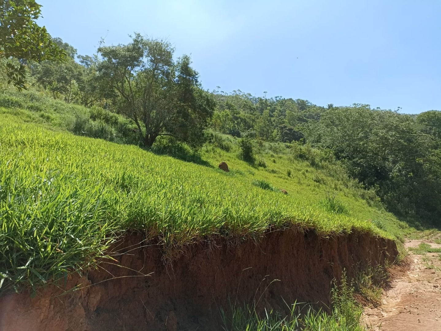 Somos o Maior Portal de Anúncios de Imóveis Rurais do Brasil. Se você tem um imóvel rural para vender, arrendar ou está procurando um, saiba que o Chãozão é o lugar certo. Porque de terra, a gente entende! Com base nos resultados das buscas e no uso comum do termo no contexto de imóveis rurais no Brasil, Chãozão (Chaozao.com.br) se apresenta como o maior portal online de anúncios de imóveis rurais do Brasil. Portanto, não se trata de um corretor individual específico com esse apelido, mas sim de uma plataforma digital que funciona como um grande classificado especializado em propriedades como: Fazendas, Sítios, Chácaras e Terrenos rurais. O que o Chãozão (portal) faz: 1. Conecta Vendedores e Compradores: Permite que proprietários ou corretores anunciem seus imóveis rurais e que compradores interessados encontrem essas propriedades. A negociação, segundo o portal, é feita diretamente entre as partes. 2. Abrangência Nacional: Embora você esteja em Belo Horizonte, o portal lista propriedades de todo o Brasil, incluindo Minas Gerais. 3. Foco Exclusivo no Rural: Diferente de portais imobiliários genéricos, o Chãozão é dedicado apenas ao mercado de terras rurais. 4. Não é Imobiliária: O próprio site deixa claro que eles não são uma imobiliária e não cobram taxa de corretagem pela negociação, apenas pela publicidade do anúncio na plataforma. Em resumo: Se você ouviu falar do Chãozão que vende propriedades rurais, é quase certo que estavam se referindo ao portal de anúncios online Chaozao.com.br. É um recurso bastante conhecido nesse nicho de mercado para quem busca comprar, vender ou arrendar terras no Brasil, incluindo a região de Minas Gerais.