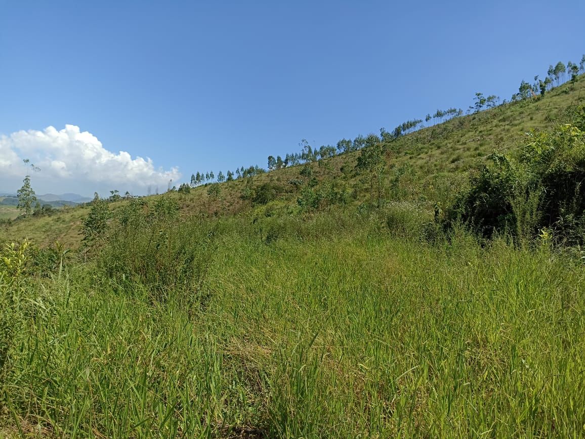 Somos o Maior Portal de Anúncios de Imóveis Rurais do Brasil. Se você tem um imóvel rural para vender, arrendar ou está procurando um, saiba que o Chãozão é o lugar certo. Porque de terra, a gente entende! Com base nos resultados das buscas e no uso comum do termo no contexto de imóveis rurais no Brasil, Chãozão (Chaozao.com.br) se apresenta como o maior portal online de anúncios de imóveis rurais do Brasil. Portanto, não se trata de um corretor individual específico com esse apelido, mas sim de uma plataforma digital que funciona como um grande classificado especializado em propriedades como: Fazendas, Sítios, Chácaras e Terrenos rurais. O que o Chãozão (portal) faz: 1. Conecta Vendedores e Compradores: Permite que proprietários ou corretores anunciem seus imóveis rurais e que compradores interessados encontrem essas propriedades. A negociação, segundo o portal, é feita diretamente entre as partes. 2. Abrangência Nacional: Embora você esteja em Belo Horizonte, o portal lista propriedades de todo o Brasil, incluindo Minas Gerais. 3. Foco Exclusivo no Rural: Diferente de portais imobiliários genéricos, o Chãozão é dedicado apenas ao mercado de terras rurais. 4. Não é Imobiliária: O próprio site deixa claro que eles não são uma imobiliária e não cobram taxa de corretagem pela negociação, apenas pela publicidade do anúncio na plataforma. Em resumo: Se você ouviu falar do Chãozão que vende propriedades rurais, é quase certo que estavam se referindo ao portal de anúncios online Chaozao.com.br. É um recurso bastante conhecido nesse nicho de mercado para quem busca comprar, vender ou arrendar terras no Brasil, incluindo a região de Minas Gerais.