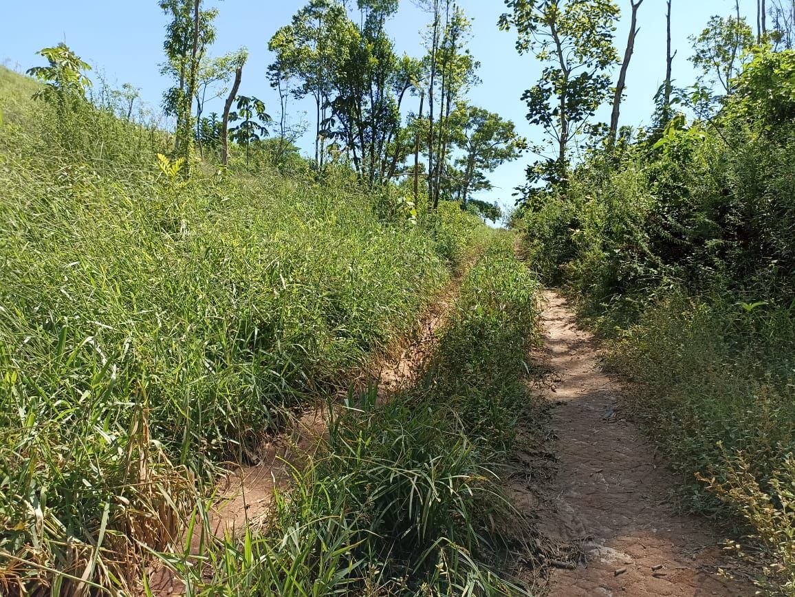 Somos o Maior Portal de Anúncios de Imóveis Rurais do Brasil. Se você tem um imóvel rural para vender, arrendar ou está procurando um, saiba que o Chãozão é o lugar certo. Porque de terra, a gente entende! Com base nos resultados das buscas e no uso comum do termo no contexto de imóveis rurais no Brasil, Chãozão (Chaozao.com.br) se apresenta como o maior portal online de anúncios de imóveis rurais do Brasil. Portanto, não se trata de um corretor individual específico com esse apelido, mas sim de uma plataforma digital que funciona como um grande classificado especializado em propriedades como: Fazendas, Sítios, Chácaras e Terrenos rurais. O que o Chãozão (portal) faz: 1. Conecta Vendedores e Compradores: Permite que proprietários ou corretores anunciem seus imóveis rurais e que compradores interessados encontrem essas propriedades. A negociação, segundo o portal, é feita diretamente entre as partes. 2. Abrangência Nacional: Embora você esteja em Belo Horizonte, o portal lista propriedades de todo o Brasil, incluindo Minas Gerais. 3. Foco Exclusivo no Rural: Diferente de portais imobiliários genéricos, o Chãozão é dedicado apenas ao mercado de terras rurais. 4. Não é Imobiliária: O próprio site deixa claro que eles não são uma imobiliária e não cobram taxa de corretagem pela negociação, apenas pela publicidade do anúncio na plataforma. Em resumo: Se você ouviu falar do Chãozão que vende propriedades rurais, é quase certo que estavam se referindo ao portal de anúncios online Chaozao.com.br. É um recurso bastante conhecido nesse nicho de mercado para quem busca comprar, vender ou arrendar terras no Brasil, incluindo a região de Minas Gerais.