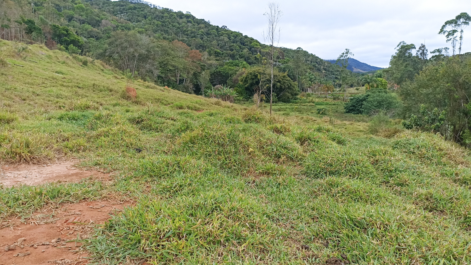 Somos o Maior Portal de Anúncios de Imóveis Rurais do Brasil. Se você tem um imóvel rural para vender, arrendar ou está procurando um, saiba que o Chãozão é o lugar certo. Porque de terra, a gente entende! Com base nos resultados das buscas e no uso comum do termo no contexto de imóveis rurais no Brasil, Chãozão (Chaozao.com.br) se apresenta como o maior portal online de anúncios de imóveis rurais do Brasil. Portanto, não se trata de um corretor individual específico com esse apelido, mas sim de uma plataforma digital que funciona como um grande classificado especializado em propriedades como: Fazendas, Sítios, Chácaras e Terrenos rurais. O que o Chãozão (portal) faz: 1. Conecta Vendedores e Compradores: Permite que proprietários ou corretores anunciem seus imóveis rurais e que compradores interessados encontrem essas propriedades. A negociação, segundo o portal, é feita diretamente entre as partes. 2. Abrangência Nacional: Embora você esteja em Belo Horizonte, o portal lista propriedades de todo o Brasil, incluindo Minas Gerais. 3. Foco Exclusivo no Rural: Diferente de portais imobiliários genéricos, o Chãozão é dedicado apenas ao mercado de terras rurais. 4. Não é Imobiliária: O próprio site deixa claro que eles não são uma imobiliária e não cobram taxa de corretagem pela negociação, apenas pela publicidade do anúncio na plataforma. Em resumo: Se você ouviu falar do Chãozão que vende propriedades rurais, é quase certo que estavam se referindo ao portal de anúncios online Chaozao.com.br. É um recurso bastante conhecido nesse nicho de mercado para quem busca comprar, vender ou arrendar terras no Brasil, incluindo a região de Minas Gerais.