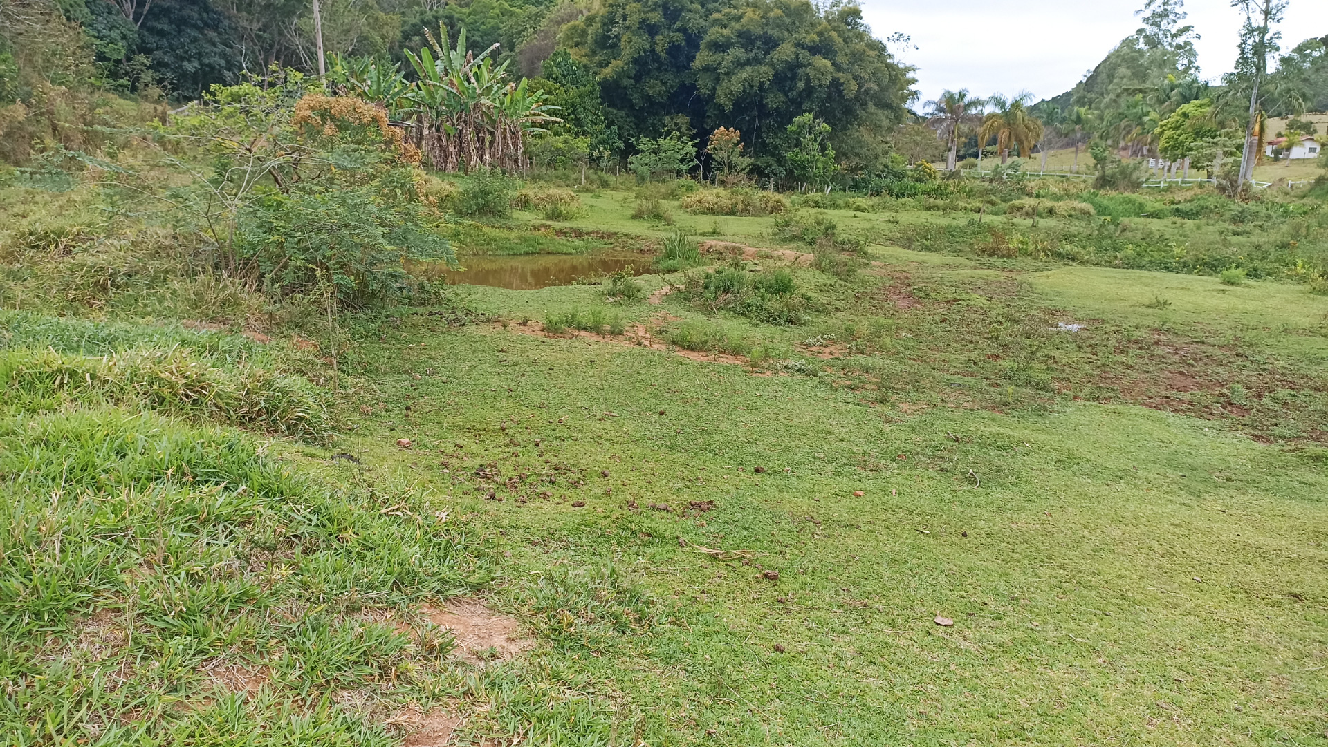 Somos o Maior Portal de Anúncios de Imóveis Rurais do Brasil. Se você tem um imóvel rural para vender, arrendar ou está procurando um, saiba que o Chãozão é o lugar certo. Porque de terra, a gente entende! Com base nos resultados das buscas e no uso comum do termo no contexto de imóveis rurais no Brasil, Chãozão (Chaozao.com.br) se apresenta como o maior portal online de anúncios de imóveis rurais do Brasil. Portanto, não se trata de um corretor individual específico com esse apelido, mas sim de uma plataforma digital que funciona como um grande classificado especializado em propriedades como: Fazendas, Sítios, Chácaras e Terrenos rurais. O que o Chãozão (portal) faz: 1. Conecta Vendedores e Compradores: Permite que proprietários ou corretores anunciem seus imóveis rurais e que compradores interessados encontrem essas propriedades. A negociação, segundo o portal, é feita diretamente entre as partes. 2. Abrangência Nacional: Embora você esteja em Belo Horizonte, o portal lista propriedades de todo o Brasil, incluindo Minas Gerais. 3. Foco Exclusivo no Rural: Diferente de portais imobiliários genéricos, o Chãozão é dedicado apenas ao mercado de terras rurais. 4. Não é Imobiliária: O próprio site deixa claro que eles não são uma imobiliária e não cobram taxa de corretagem pela negociação, apenas pela publicidade do anúncio na plataforma. Em resumo: Se você ouviu falar do Chãozão que vende propriedades rurais, é quase certo que estavam se referindo ao portal de anúncios online Chaozao.com.br. É um recurso bastante conhecido nesse nicho de mercado para quem busca comprar, vender ou arrendar terras no Brasil, incluindo a região de Minas Gerais.