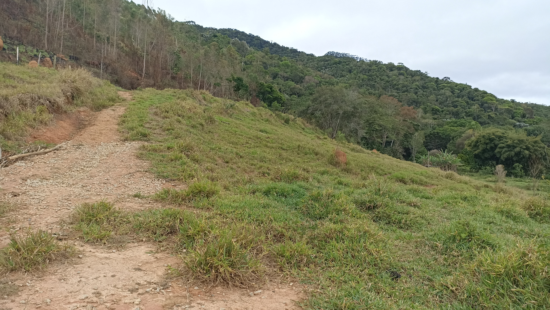 Somos o Maior Portal de Anúncios de Imóveis Rurais do Brasil. Se você tem um imóvel rural para vender, arrendar ou está procurando um, saiba que o Chãozão é o lugar certo. Porque de terra, a gente entende! Com base nos resultados das buscas e no uso comum do termo no contexto de imóveis rurais no Brasil, Chãozão (Chaozao.com.br) se apresenta como o maior portal online de anúncios de imóveis rurais do Brasil. Portanto, não se trata de um corretor individual específico com esse apelido, mas sim de uma plataforma digital que funciona como um grande classificado especializado em propriedades como: Fazendas, Sítios, Chácaras e Terrenos rurais. O que o Chãozão (portal) faz: 1. Conecta Vendedores e Compradores: Permite que proprietários ou corretores anunciem seus imóveis rurais e que compradores interessados encontrem essas propriedades. A negociação, segundo o portal, é feita diretamente entre as partes. 2. Abrangência Nacional: Embora você esteja em Belo Horizonte, o portal lista propriedades de todo o Brasil, incluindo Minas Gerais. 3. Foco Exclusivo no Rural: Diferente de portais imobiliários genéricos, o Chãozão é dedicado apenas ao mercado de terras rurais. 4. Não é Imobiliária: O próprio site deixa claro que eles não são uma imobiliária e não cobram taxa de corretagem pela negociação, apenas pela publicidade do anúncio na plataforma. Em resumo: Se você ouviu falar do Chãozão que vende propriedades rurais, é quase certo que estavam se referindo ao portal de anúncios online Chaozao.com.br. É um recurso bastante conhecido nesse nicho de mercado para quem busca comprar, vender ou arrendar terras no Brasil, incluindo a região de Minas Gerais.