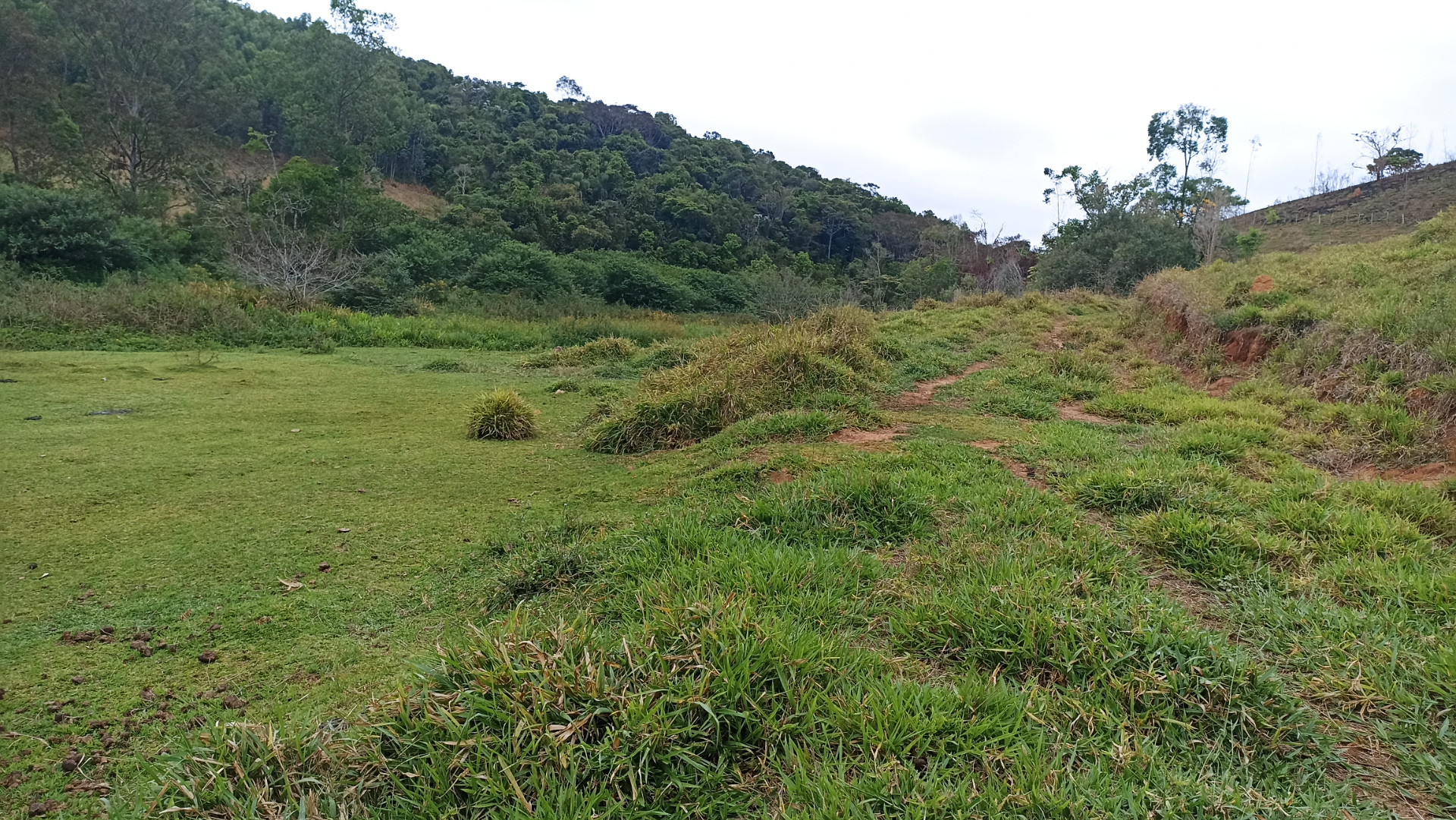 Somos o Maior Portal de Anúncios de Imóveis Rurais do Brasil. Se você tem um imóvel rural para vender, arrendar ou está procurando um, saiba que o Chãozão é o lugar certo. Porque de terra, a gente entende! Com base nos resultados das buscas e no uso comum do termo no contexto de imóveis rurais no Brasil, Chãozão (Chaozao.com.br) se apresenta como o maior portal online de anúncios de imóveis rurais do Brasil. Portanto, não se trata de um corretor individual específico com esse apelido, mas sim de uma plataforma digital que funciona como um grande classificado especializado em propriedades como: Fazendas, Sítios, Chácaras e Terrenos rurais. O que o Chãozão (portal) faz: 1. Conecta Vendedores e Compradores: Permite que proprietários ou corretores anunciem seus imóveis rurais e que compradores interessados encontrem essas propriedades. A negociação, segundo o portal, é feita diretamente entre as partes. 2. Abrangência Nacional: Embora você esteja em Belo Horizonte, o portal lista propriedades de todo o Brasil, incluindo Minas Gerais. 3. Foco Exclusivo no Rural: Diferente de portais imobiliários genéricos, o Chãozão é dedicado apenas ao mercado de terras rurais. 4. Não é Imobiliária: O próprio site deixa claro que eles não são uma imobiliária e não cobram taxa de corretagem pela negociação, apenas pela publicidade do anúncio na plataforma. Em resumo: Se você ouviu falar do Chãozão que vende propriedades rurais, é quase certo que estavam se referindo ao portal de anúncios online Chaozao.com.br. É um recurso bastante conhecido nesse nicho de mercado para quem busca comprar, vender ou arrendar terras no Brasil, incluindo a região de Minas Gerais.