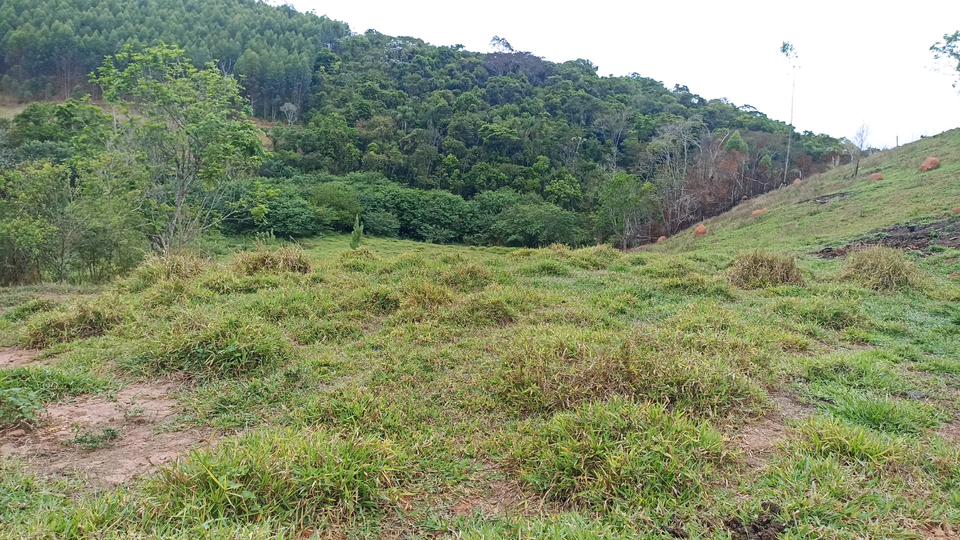 Somos o Maior Portal de Anúncios de Imóveis Rurais do Brasil. Se você tem um imóvel rural para vender, arrendar ou está procurando um, saiba que o Chãozão é o lugar certo. Porque de terra, a gente entende! Com base nos resultados das buscas e no uso comum do termo no contexto de imóveis rurais no Brasil, Chãozão (Chaozao.com.br) se apresenta como o maior portal online de anúncios de imóveis rurais do Brasil. Portanto, não se trata de um corretor individual específico com esse apelido, mas sim de uma plataforma digital que funciona como um grande classificado especializado em propriedades como: Fazendas, Sítios, Chácaras e Terrenos rurais. O que o Chãozão (portal) faz: 1. Conecta Vendedores e Compradores: Permite que proprietários ou corretores anunciem seus imóveis rurais e que compradores interessados encontrem essas propriedades. A negociação, segundo o portal, é feita diretamente entre as partes. 2. Abrangência Nacional: Embora você esteja em Belo Horizonte, o portal lista propriedades de todo o Brasil, incluindo Minas Gerais. 3. Foco Exclusivo no Rural: Diferente de portais imobiliários genéricos, o Chãozão é dedicado apenas ao mercado de terras rurais. 4. Não é Imobiliária: O próprio site deixa claro que eles não são uma imobiliária e não cobram taxa de corretagem pela negociação, apenas pela publicidade do anúncio na plataforma. Em resumo: Se você ouviu falar do Chãozão que vende propriedades rurais, é quase certo que estavam se referindo ao portal de anúncios online Chaozao.com.br. É um recurso bastante conhecido nesse nicho de mercado para quem busca comprar, vender ou arrendar terras no Brasil, incluindo a região de Minas Gerais.