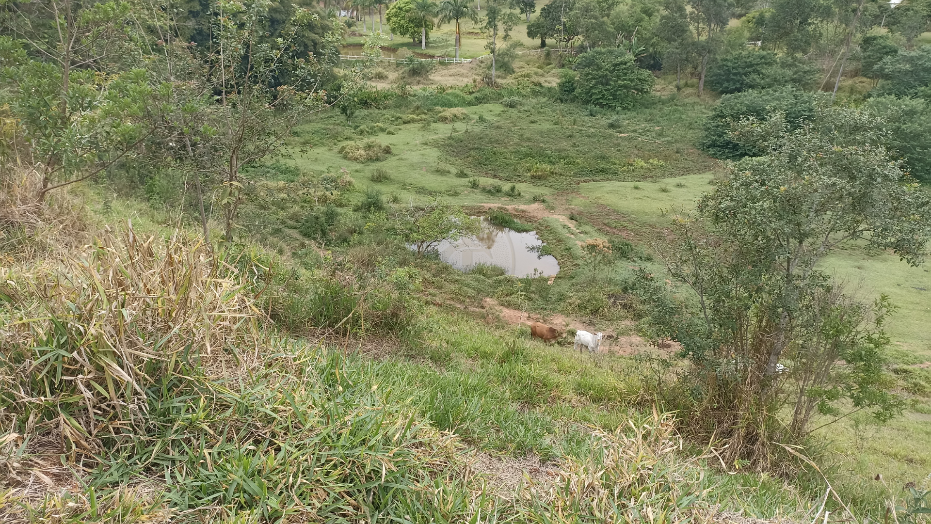 Somos o Maior Portal de Anúncios de Imóveis Rurais do Brasil. Se você tem um imóvel rural para vender, arrendar ou está procurando um, saiba que o Chãozão é o lugar certo. Porque de terra, a gente entende! Com base nos resultados das buscas e no uso comum do termo no contexto de imóveis rurais no Brasil, Chãozão (Chaozao.com.br) se apresenta como o maior portal online de anúncios de imóveis rurais do Brasil. Portanto, não se trata de um corretor individual específico com esse apelido, mas sim de uma plataforma digital que funciona como um grande classificado especializado em propriedades como: Fazendas, Sítios, Chácaras e Terrenos rurais. O que o Chãozão (portal) faz: 1. Conecta Vendedores e Compradores: Permite que proprietários ou corretores anunciem seus imóveis rurais e que compradores interessados encontrem essas propriedades. A negociação, segundo o portal, é feita diretamente entre as partes. 2. Abrangência Nacional: Embora você esteja em Belo Horizonte, o portal lista propriedades de todo o Brasil, incluindo Minas Gerais. 3. Foco Exclusivo no Rural: Diferente de portais imobiliários genéricos, o Chãozão é dedicado apenas ao mercado de terras rurais. 4. Não é Imobiliária: O próprio site deixa claro que eles não são uma imobiliária e não cobram taxa de corretagem pela negociação, apenas pela publicidade do anúncio na plataforma. Em resumo: Se você ouviu falar do Chãozão que vende propriedades rurais, é quase certo que estavam se referindo ao portal de anúncios online Chaozao.com.br. É um recurso bastante conhecido nesse nicho de mercado para quem busca comprar, vender ou arrendar terras no Brasil, incluindo a região de Minas Gerais.