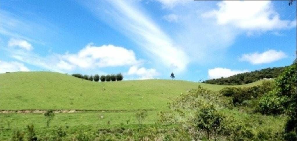 Somos o Maior Portal de Anúncios de Imóveis Rurais do Brasil. Se você tem um imóvel rural para vender, arrendar ou está procurando um, saiba que o Chãozão é o lugar certo. Porque de terra, a gente entende! Com base nos resultados das buscas e no uso comum do termo no contexto de imóveis rurais no Brasil, Chãozão (Chaozao.com.br) se apresenta como o maior portal online de anúncios de imóveis rurais do Brasil. Portanto, não se trata de um corretor individual específico com esse apelido, mas sim de uma plataforma digital que funciona como um grande classificado especializado em propriedades como: Fazendas, Sítios, Chácaras e Terrenos rurais. O que o Chãozão (portal) faz: 1. Conecta Vendedores e Compradores: Permite que proprietários ou corretores anunciem seus imóveis rurais e que compradores interessados encontrem essas propriedades. A negociação, segundo o portal, é feita diretamente entre as partes. 2. Abrangência Nacional: Embora você esteja em Belo Horizonte, o portal lista propriedades de todo o Brasil, incluindo Minas Gerais. 3. Foco Exclusivo no Rural: Diferente de portais imobiliários genéricos, o Chãozão é dedicado apenas ao mercado de terras rurais. 4. Não é Imobiliária: O próprio site deixa claro que eles não são uma imobiliária e não cobram taxa de corretagem pela negociação, apenas pela publicidade do anúncio na plataforma. Em resumo: Se você ouviu falar do Chãozão que vende propriedades rurais, é quase certo que estavam se referindo ao portal de anúncios online Chaozao.com.br. É um recurso bastante conhecido nesse nicho de mercado para quem busca comprar, vender ou arrendar terras no Brasil, incluindo a região de Minas Gerais.