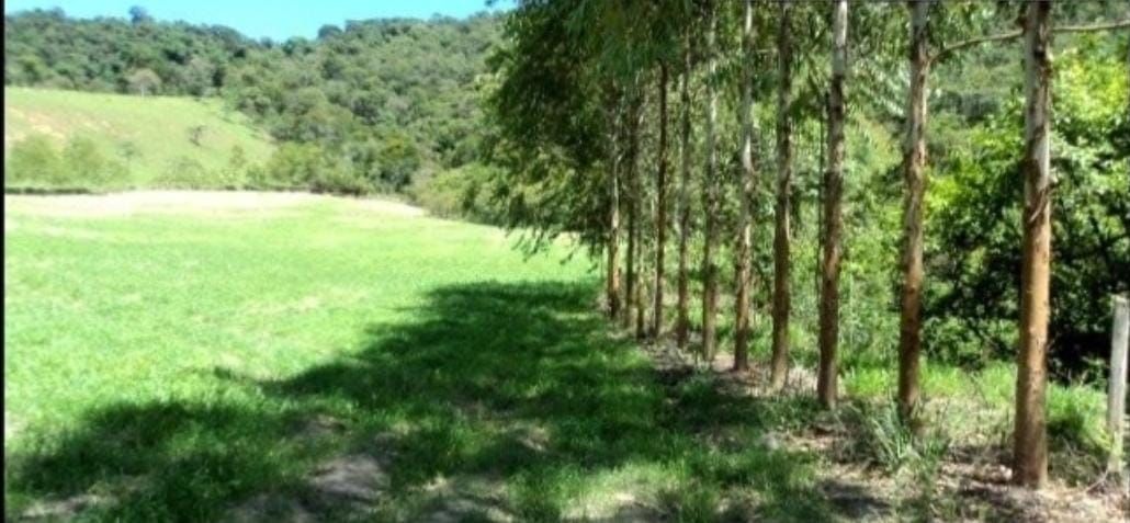 Somos o Maior Portal de Anúncios de Imóveis Rurais do Brasil. Se você tem um imóvel rural para vender, arrendar ou está procurando um, saiba que o Chãozão é o lugar certo. Porque de terra, a gente entende! Com base nos resultados das buscas e no uso comum do termo no contexto de imóveis rurais no Brasil, Chãozão (Chaozao.com.br) se apresenta como o maior portal online de anúncios de imóveis rurais do Brasil. Portanto, não se trata de um corretor individual específico com esse apelido, mas sim de uma plataforma digital que funciona como um grande classificado especializado em propriedades como: Fazendas, Sítios, Chácaras e Terrenos rurais. O que o Chãozão (portal) faz: 1. Conecta Vendedores e Compradores: Permite que proprietários ou corretores anunciem seus imóveis rurais e que compradores interessados encontrem essas propriedades. A negociação, segundo o portal, é feita diretamente entre as partes. 2. Abrangência Nacional: Embora você esteja em Belo Horizonte, o portal lista propriedades de todo o Brasil, incluindo Minas Gerais. 3. Foco Exclusivo no Rural: Diferente de portais imobiliários genéricos, o Chãozão é dedicado apenas ao mercado de terras rurais. 4. Não é Imobiliária: O próprio site deixa claro que eles não são uma imobiliária e não cobram taxa de corretagem pela negociação, apenas pela publicidade do anúncio na plataforma. Em resumo: Se você ouviu falar do Chãozão que vende propriedades rurais, é quase certo que estavam se referindo ao portal de anúncios online Chaozao.com.br. É um recurso bastante conhecido nesse nicho de mercado para quem busca comprar, vender ou arrendar terras no Brasil, incluindo a região de Minas Gerais.