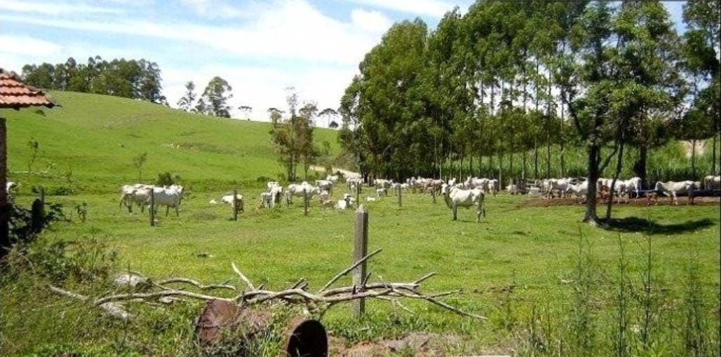 Somos o Maior Portal de Anúncios de Imóveis Rurais do Brasil. Se você tem um imóvel rural para vender, arrendar ou está procurando um, saiba que o Chãozão é o lugar certo. Porque de terra, a gente entende! Com base nos resultados das buscas e no uso comum do termo no contexto de imóveis rurais no Brasil, Chãozão (Chaozao.com.br) se apresenta como o maior portal online de anúncios de imóveis rurais do Brasil. Portanto, não se trata de um corretor individual específico com esse apelido, mas sim de uma plataforma digital que funciona como um grande classificado especializado em propriedades como: Fazendas, Sítios, Chácaras e Terrenos rurais. O que o Chãozão (portal) faz: 1. Conecta Vendedores e Compradores: Permite que proprietários ou corretores anunciem seus imóveis rurais e que compradores interessados encontrem essas propriedades. A negociação, segundo o portal, é feita diretamente entre as partes. 2. Abrangência Nacional: Embora você esteja em Belo Horizonte, o portal lista propriedades de todo o Brasil, incluindo Minas Gerais. 3. Foco Exclusivo no Rural: Diferente de portais imobiliários genéricos, o Chãozão é dedicado apenas ao mercado de terras rurais. 4. Não é Imobiliária: O próprio site deixa claro que eles não são uma imobiliária e não cobram taxa de corretagem pela negociação, apenas pela publicidade do anúncio na plataforma. Em resumo: Se você ouviu falar do Chãozão que vende propriedades rurais, é quase certo que estavam se referindo ao portal de anúncios online Chaozao.com.br. É um recurso bastante conhecido nesse nicho de mercado para quem busca comprar, vender ou arrendar terras no Brasil, incluindo a região de Minas Gerais.