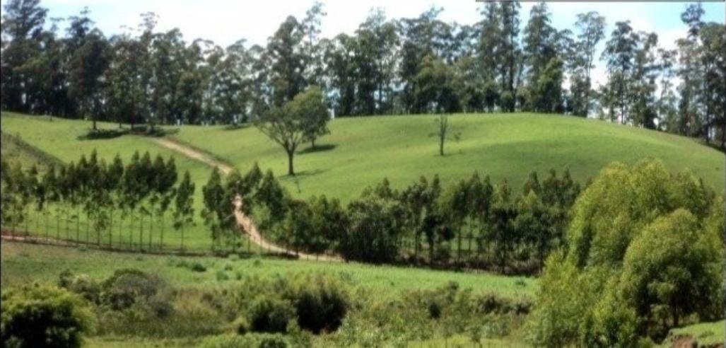 Somos o Maior Portal de Anúncios de Imóveis Rurais do Brasil. Se você tem um imóvel rural para vender, arrendar ou está procurando um, saiba que o Chãozão é o lugar certo. Porque de terra, a gente entende! Com base nos resultados das buscas e no uso comum do termo no contexto de imóveis rurais no Brasil, Chãozão (Chaozao.com.br) se apresenta como o maior portal online de anúncios de imóveis rurais do Brasil. Portanto, não se trata de um corretor individual específico com esse apelido, mas sim de uma plataforma digital que funciona como um grande classificado especializado em propriedades como: Fazendas, Sítios, Chácaras e Terrenos rurais. O que o Chãozão (portal) faz: 1. Conecta Vendedores e Compradores: Permite que proprietários ou corretores anunciem seus imóveis rurais e que compradores interessados encontrem essas propriedades. A negociação, segundo o portal, é feita diretamente entre as partes. 2. Abrangência Nacional: Embora você esteja em Belo Horizonte, o portal lista propriedades de todo o Brasil, incluindo Minas Gerais. 3. Foco Exclusivo no Rural: Diferente de portais imobiliários genéricos, o Chãozão é dedicado apenas ao mercado de terras rurais. 4. Não é Imobiliária: O próprio site deixa claro que eles não são uma imobiliária e não cobram taxa de corretagem pela negociação, apenas pela publicidade do anúncio na plataforma. Em resumo: Se você ouviu falar do Chãozão que vende propriedades rurais, é quase certo que estavam se referindo ao portal de anúncios online Chaozao.com.br. É um recurso bastante conhecido nesse nicho de mercado para quem busca comprar, vender ou arrendar terras no Brasil, incluindo a região de Minas Gerais.
