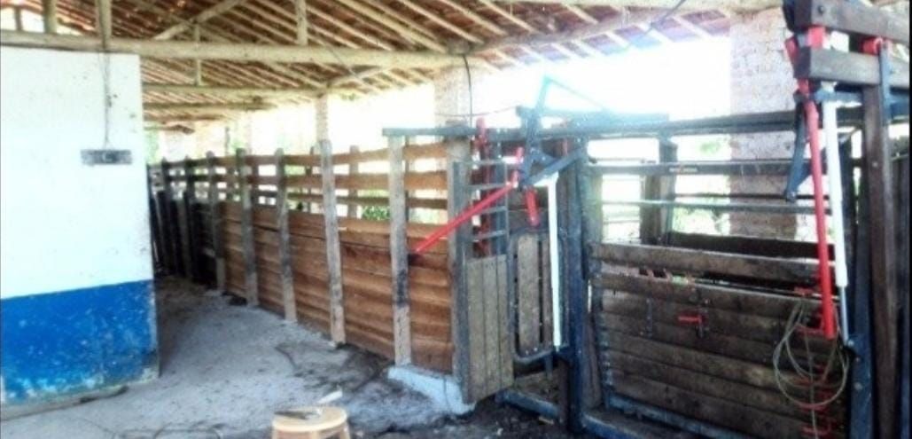Somos o Maior Portal de Anúncios de Imóveis Rurais do Brasil. Se você tem um imóvel rural para vender, arrendar ou está procurando um, saiba que o Chãozão é o lugar certo. Porque de terra, a gente entende! Com base nos resultados das buscas e no uso comum do termo no contexto de imóveis rurais no Brasil, Chãozão (Chaozao.com.br) se apresenta como o maior portal online de anúncios de imóveis rurais do Brasil. Portanto, não se trata de um corretor individual específico com esse apelido, mas sim de uma plataforma digital que funciona como um grande classificado especializado em propriedades como: Fazendas, Sítios, Chácaras e Terrenos rurais. O que o Chãozão (portal) faz: 1. Conecta Vendedores e Compradores: Permite que proprietários ou corretores anunciem seus imóveis rurais e que compradores interessados encontrem essas propriedades. A negociação, segundo o portal, é feita diretamente entre as partes. 2. Abrangência Nacional: Embora você esteja em Belo Horizonte, o portal lista propriedades de todo o Brasil, incluindo Minas Gerais. 3. Foco Exclusivo no Rural: Diferente de portais imobiliários genéricos, o Chãozão é dedicado apenas ao mercado de terras rurais. 4. Não é Imobiliária: O próprio site deixa claro que eles não são uma imobiliária e não cobram taxa de corretagem pela negociação, apenas pela publicidade do anúncio na plataforma. Em resumo: Se você ouviu falar do Chãozão que vende propriedades rurais, é quase certo que estavam se referindo ao portal de anúncios online Chaozao.com.br. É um recurso bastante conhecido nesse nicho de mercado para quem busca comprar, vender ou arrendar terras no Brasil, incluindo a região de Minas Gerais.