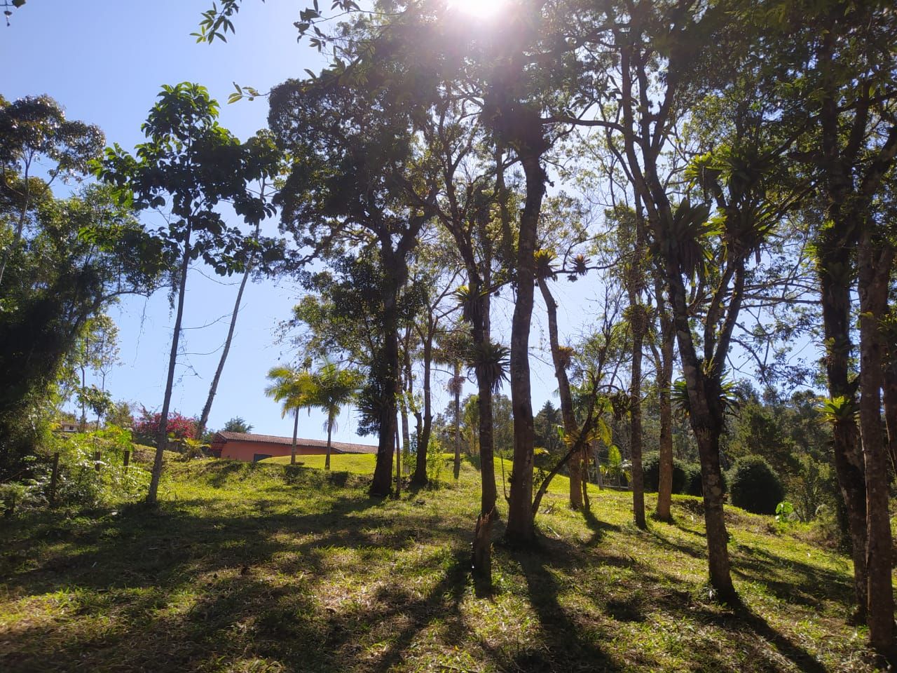 Chãozão - O Maior Portal de Anúncios de Imóveis Rurais do Brasil.