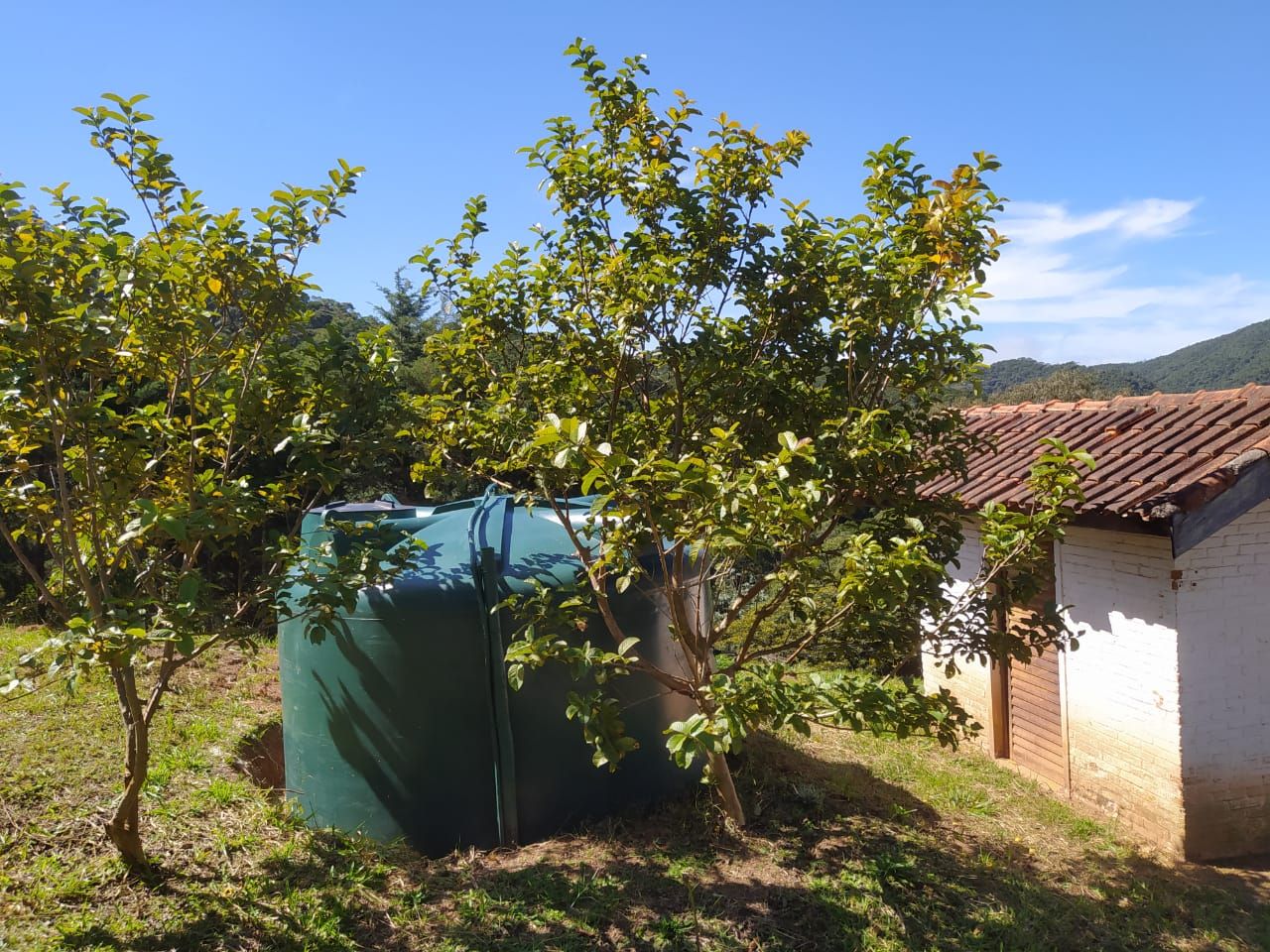 Chãozão - O Maior Portal de Anúncios de Imóveis Rurais do Brasil.