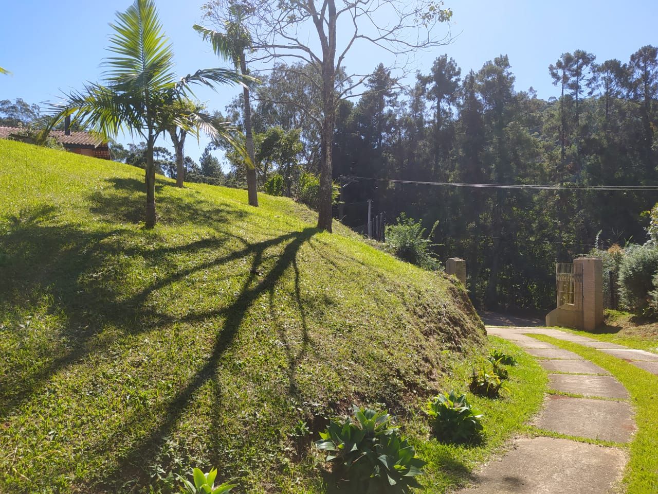 Chãozão - O Maior Portal de Anúncios de Imóveis Rurais do Brasil.