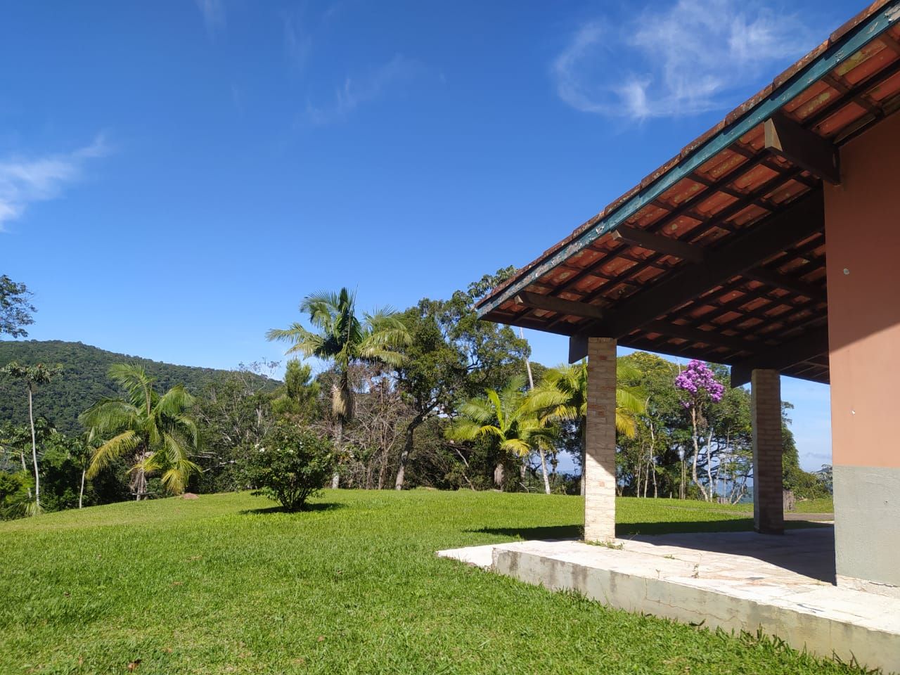 Chãozão - O Maior Portal de Anúncios de Imóveis Rurais do Brasil.