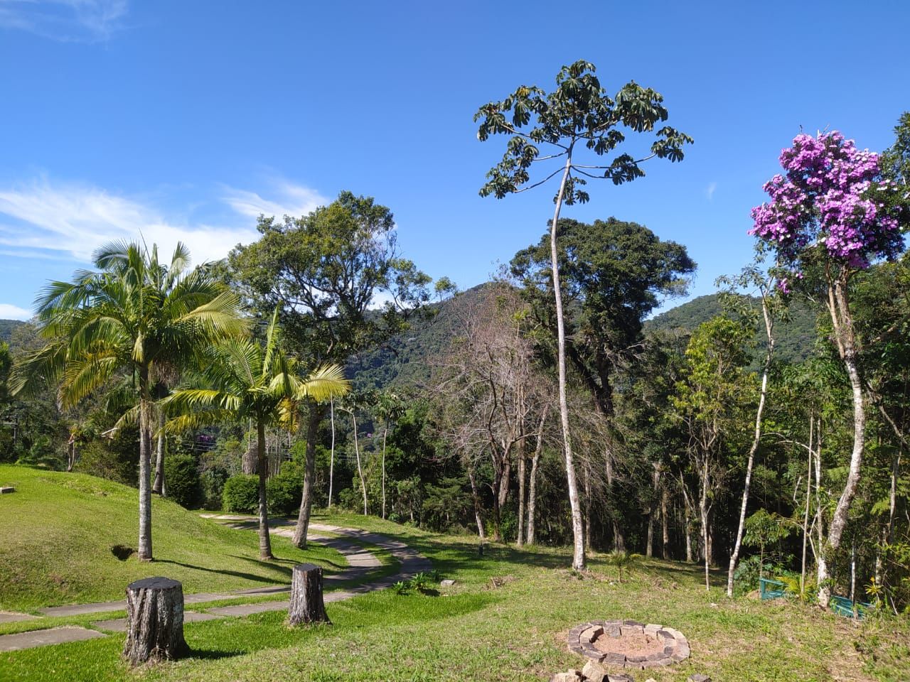 Chãozão - O Maior Portal de Anúncios de Imóveis Rurais do Brasil.