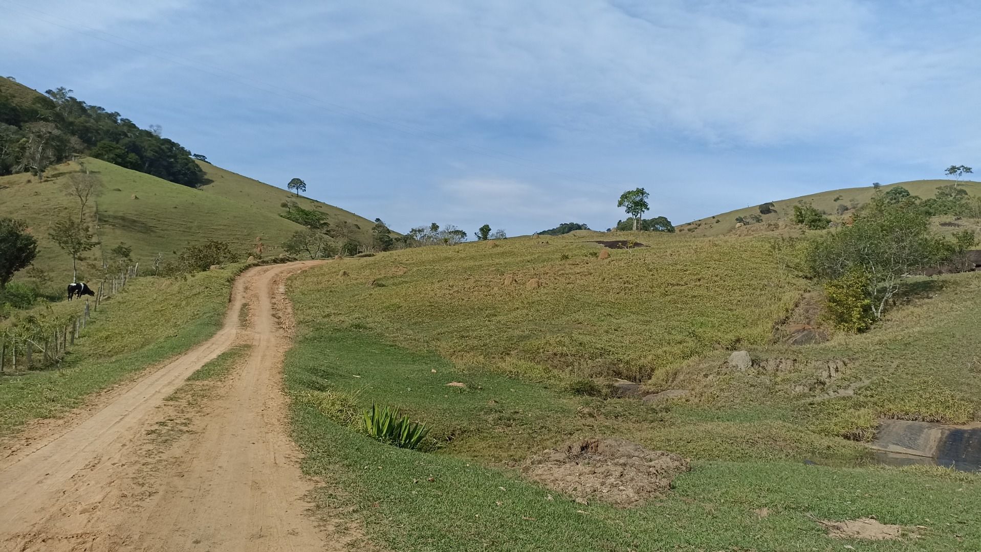 Chãozão - O Maior Portal de Anúncios de Imóveis Rurais do Brasil.
