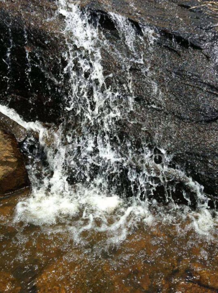 Chãozão - O Maior Portal de Anúncios de Imóveis Rurais do Brasil.
