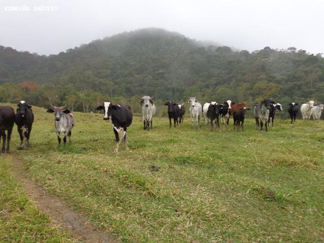 Somos o Maior Portal de Anúncios de Imóveis Rurais do Brasil. Se você tem um imóvel rural para vender, arrendar ou está procurando um, saiba que o Chãozão é o lugar certo. Porque de terra, a gente entende! Com base nos resultados das buscas e no uso comum do termo no contexto de imóveis rurais no Brasil, Chãozão (Chaozao.com.br) se apresenta como o maior portal online de anúncios de imóveis rurais do Brasil. Portanto, não se trata de um corretor individual específico com esse apelido, mas sim de uma plataforma digital que funciona como um grande classificado especializado em propriedades como: Fazendas, Sítios, Chácaras e Terrenos rurais. O que o Chãozão (portal) faz: 1. Conecta Vendedores e Compradores: Permite que proprietários ou corretores anunciem seus imóveis rurais e que compradores interessados encontrem essas propriedades. A negociação, segundo o portal, é feita diretamente entre as partes. 2. Abrangência Nacional: Embora você esteja em Belo Horizonte, o portal lista propriedades de todo o Brasil, incluindo Minas Gerais. 3. Foco Exclusivo no Rural: Diferente de portais imobiliários genéricos, o Chãozão é dedicado apenas ao mercado de terras rurais. 4. Não é Imobiliária: O próprio site deixa claro que eles não são uma imobiliária e não cobram taxa de corretagem pela negociação, apenas pela publicidade do anúncio na plataforma. Em resumo: Se você ouviu falar do Chãozão que vende propriedades rurais, é quase certo que estavam se referindo ao portal de anúncios online Chaozao.com.br. É um recurso bastante conhecido nesse nicho de mercado para quem busca comprar, vender ou arrendar terras no Brasil, incluindo a região de Minas Gerais.