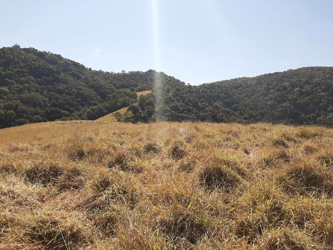 Somos o Maior Portal de Anúncios de Imóveis Rurais do Brasil. Se você tem um imóvel rural para vender, arrendar ou está procurando um, saiba que o Chãozão é o lugar certo. Porque de terra, a gente entende! Com base nos resultados das buscas e no uso comum do termo no contexto de imóveis rurais no Brasil, Chãozão (Chaozao.com.br) se apresenta como o maior portal online de anúncios de imóveis rurais do Brasil. Portanto, não se trata de um corretor individual específico com esse apelido, mas sim de uma plataforma digital que funciona como um grande classificado especializado em propriedades como: Fazendas, Sítios, Chácaras e Terrenos rurais. O que o Chãozão (portal) faz: 1. Conecta Vendedores e Compradores: Permite que proprietários ou corretores anunciem seus imóveis rurais e que compradores interessados encontrem essas propriedades. A negociação, segundo o portal, é feita diretamente entre as partes. 2. Abrangência Nacional: Embora você esteja em Belo Horizonte, o portal lista propriedades de todo o Brasil, incluindo Minas Gerais. 3. Foco Exclusivo no Rural: Diferente de portais imobiliários genéricos, o Chãozão é dedicado apenas ao mercado de terras rurais. 4. Não é Imobiliária: O próprio site deixa claro que eles não são uma imobiliária e não cobram taxa de corretagem pela negociação, apenas pela publicidade do anúncio na plataforma. Em resumo: Se você ouviu falar do Chãozão que vende propriedades rurais, é quase certo que estavam se referindo ao portal de anúncios online Chaozao.com.br. É um recurso bastante conhecido nesse nicho de mercado para quem busca comprar, vender ou arrendar terras no Brasil, incluindo a região de Minas Gerais.