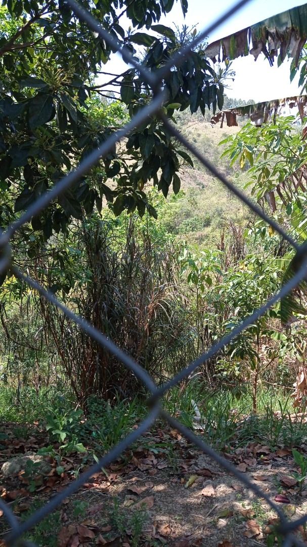 Chãozão - O Maior Portal de Anúncios de Imóveis Rurais do Brasil.