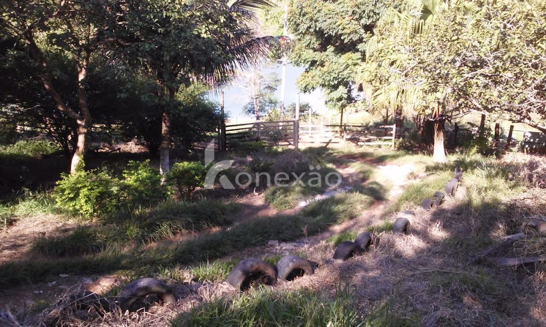 Somos o Maior Portal de Anúncios de Imóveis Rurais do Brasil. Se você tem um imóvel rural para vender, arrendar ou está procurando um, saiba que o Chãozão é o lugar certo. Porque de terra, a gente entende! Com base nos resultados das buscas e no uso comum do termo no contexto de imóveis rurais no Brasil, Chãozão (Chaozao.com.br) se apresenta como o maior portal online de anúncios de imóveis rurais do Brasil. Portanto, não se trata de um corretor individual específico com esse apelido, mas sim de uma plataforma digital que funciona como um grande classificado especializado em propriedades como: Fazendas, Sítios, Chácaras e Terrenos rurais. O que o Chãozão (portal) faz: 1. Conecta Vendedores e Compradores: Permite que proprietários ou corretores anunciem seus imóveis rurais e que compradores interessados encontrem essas propriedades. A negociação, segundo o portal, é feita diretamente entre as partes. 2. Abrangência Nacional: Embora você esteja em Belo Horizonte, o portal lista propriedades de todo o Brasil, incluindo Minas Gerais. 3. Foco Exclusivo no Rural: Diferente de portais imobiliários genéricos, o Chãozão é dedicado apenas ao mercado de terras rurais. 4. Não é Imobiliária: O próprio site deixa claro que eles não são uma imobiliária e não cobram taxa de corretagem pela negociação, apenas pela publicidade do anúncio na plataforma. Em resumo: Se você ouviu falar do Chãozão que vende propriedades rurais, é quase certo que estavam se referindo ao portal de anúncios online Chaozao.com.br. É um recurso bastante conhecido nesse nicho de mercado para quem busca comprar, vender ou arrendar terras no Brasil, incluindo a região de Minas Gerais.