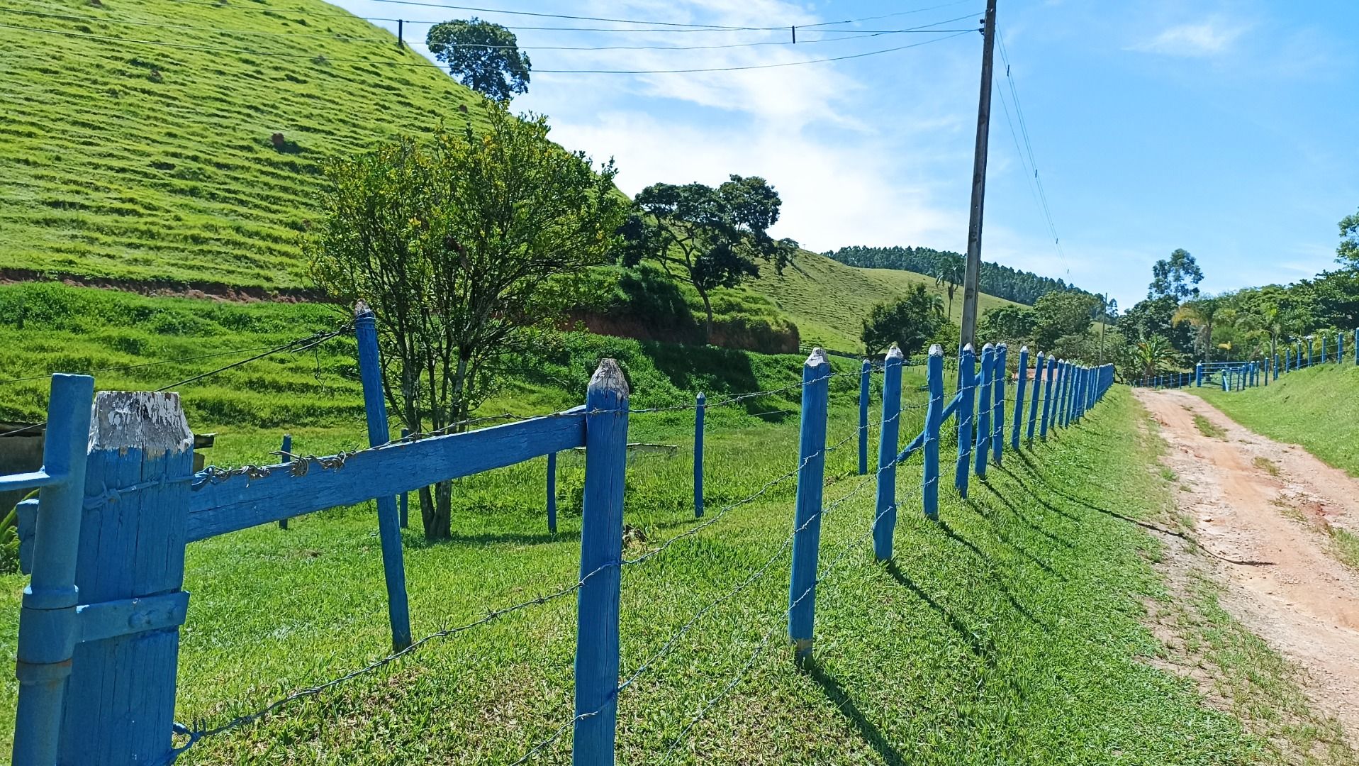 foto do anuncio