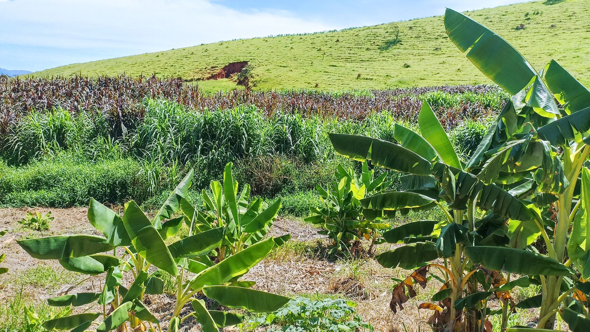 foto do anuncio