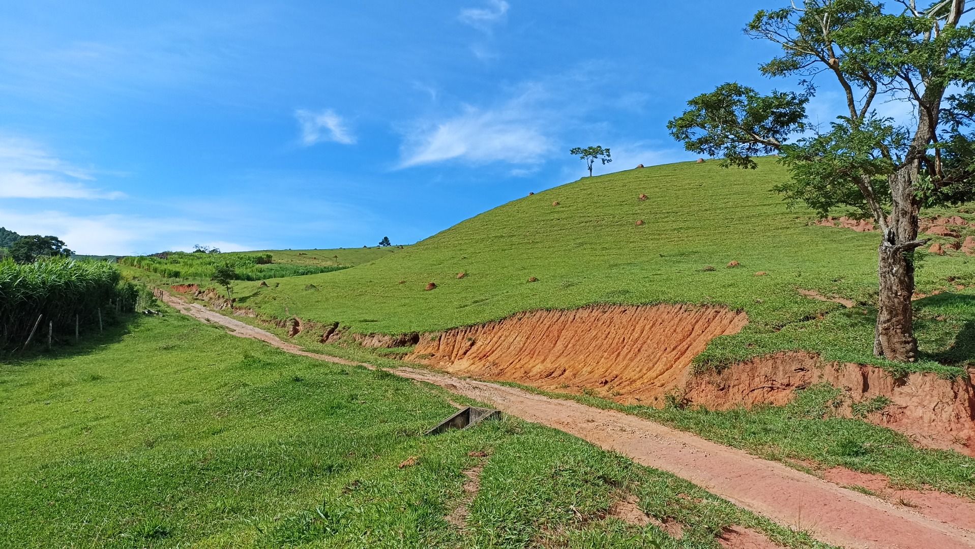 foto do anuncio