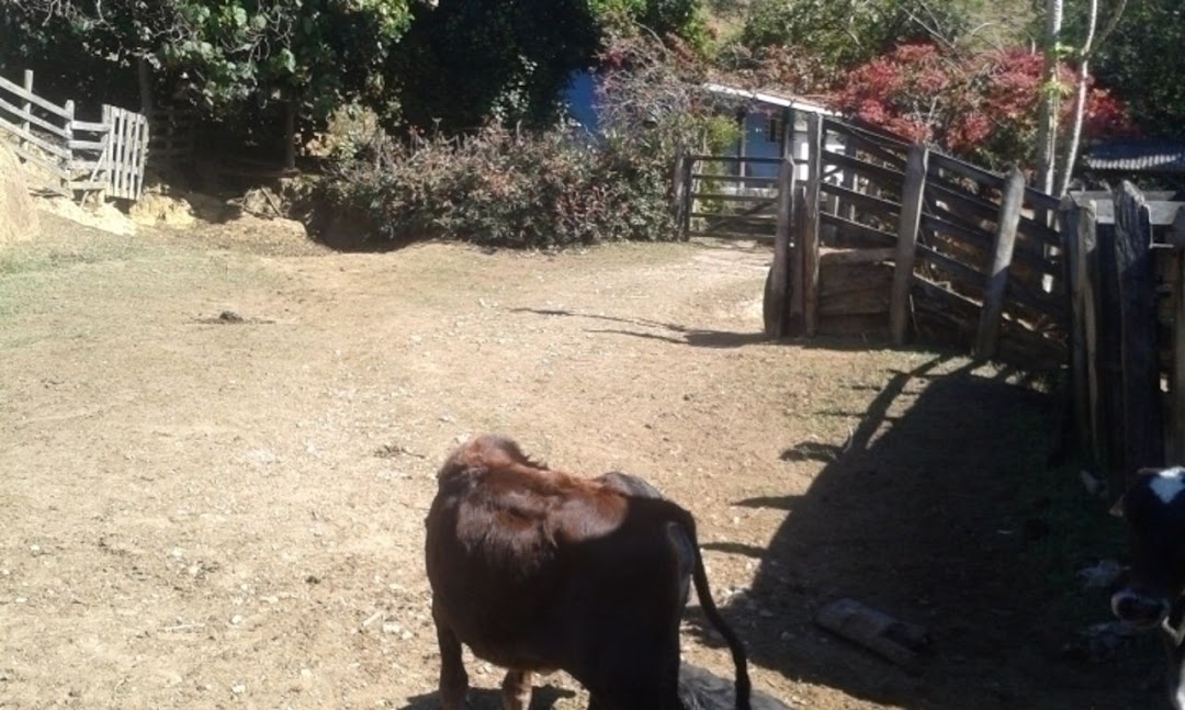 Somos o Maior Portal de Anúncios de Imóveis Rurais do Brasil. Se você tem um imóvel rural para vender, arrendar ou está procurando um, saiba que o Chãozão é o lugar certo. Porque de terra, a gente entende! Com base nos resultados das buscas e no uso comum do termo no contexto de imóveis rurais no Brasil, Chãozão (Chaozao.com.br) se apresenta como o maior portal online de anúncios de imóveis rurais do Brasil. Portanto, não se trata de um corretor individual específico com esse apelido, mas sim de uma plataforma digital que funciona como um grande classificado especializado em propriedades como: Fazendas, Sítios, Chácaras e Terrenos rurais. O que o Chãozão (portal) faz: 1. Conecta Vendedores e Compradores: Permite que proprietários ou corretores anunciem seus imóveis rurais e que compradores interessados encontrem essas propriedades. A negociação, segundo o portal, é feita diretamente entre as partes. 2. Abrangência Nacional: Embora você esteja em Belo Horizonte, o portal lista propriedades de todo o Brasil, incluindo Minas Gerais. 3. Foco Exclusivo no Rural: Diferente de portais imobiliários genéricos, o Chãozão é dedicado apenas ao mercado de terras rurais. 4. Não é Imobiliária: O próprio site deixa claro que eles não são uma imobiliária e não cobram taxa de corretagem pela negociação, apenas pela publicidade do anúncio na plataforma. Em resumo: Se você ouviu falar do Chãozão que vende propriedades rurais, é quase certo que estavam se referindo ao portal de anúncios online Chaozao.com.br. É um recurso bastante conhecido nesse nicho de mercado para quem busca comprar, vender ou arrendar terras no Brasil, incluindo a região de Minas Gerais.