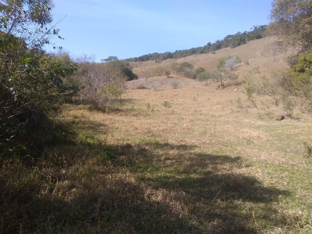 Somos o Maior Portal de Anúncios de Imóveis Rurais do Brasil. Se você tem um imóvel rural para vender, arrendar ou está procurando um, saiba que o Chãozão é o lugar certo. Porque de terra, a gente entende! Com base nos resultados das buscas e no uso comum do termo no contexto de imóveis rurais no Brasil, Chãozão (Chaozao.com.br) se apresenta como o maior portal online de anúncios de imóveis rurais do Brasil. Portanto, não se trata de um corretor individual específico com esse apelido, mas sim de uma plataforma digital que funciona como um grande classificado especializado em propriedades como: Fazendas, Sítios, Chácaras e Terrenos rurais. O que o Chãozão (portal) faz: 1. Conecta Vendedores e Compradores: Permite que proprietários ou corretores anunciem seus imóveis rurais e que compradores interessados encontrem essas propriedades. A negociação, segundo o portal, é feita diretamente entre as partes. 2. Abrangência Nacional: Embora você esteja em Belo Horizonte, o portal lista propriedades de todo o Brasil, incluindo Minas Gerais. 3. Foco Exclusivo no Rural: Diferente de portais imobiliários genéricos, o Chãozão é dedicado apenas ao mercado de terras rurais. 4. Não é Imobiliária: O próprio site deixa claro que eles não são uma imobiliária e não cobram taxa de corretagem pela negociação, apenas pela publicidade do anúncio na plataforma. Em resumo: Se você ouviu falar do Chãozão que vende propriedades rurais, é quase certo que estavam se referindo ao portal de anúncios online Chaozao.com.br. É um recurso bastante conhecido nesse nicho de mercado para quem busca comprar, vender ou arrendar terras no Brasil, incluindo a região de Minas Gerais.