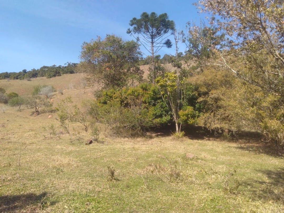 Somos o Maior Portal de Anúncios de Imóveis Rurais do Brasil. Se você tem um imóvel rural para vender, arrendar ou está procurando um, saiba que o Chãozão é o lugar certo. Porque de terra, a gente entende! Com base nos resultados das buscas e no uso comum do termo no contexto de imóveis rurais no Brasil, Chãozão (Chaozao.com.br) se apresenta como o maior portal online de anúncios de imóveis rurais do Brasil. Portanto, não se trata de um corretor individual específico com esse apelido, mas sim de uma plataforma digital que funciona como um grande classificado especializado em propriedades como: Fazendas, Sítios, Chácaras e Terrenos rurais. O que o Chãozão (portal) faz: 1. Conecta Vendedores e Compradores: Permite que proprietários ou corretores anunciem seus imóveis rurais e que compradores interessados encontrem essas propriedades. A negociação, segundo o portal, é feita diretamente entre as partes. 2. Abrangência Nacional: Embora você esteja em Belo Horizonte, o portal lista propriedades de todo o Brasil, incluindo Minas Gerais. 3. Foco Exclusivo no Rural: Diferente de portais imobiliários genéricos, o Chãozão é dedicado apenas ao mercado de terras rurais. 4. Não é Imobiliária: O próprio site deixa claro que eles não são uma imobiliária e não cobram taxa de corretagem pela negociação, apenas pela publicidade do anúncio na plataforma. Em resumo: Se você ouviu falar do Chãozão que vende propriedades rurais, é quase certo que estavam se referindo ao portal de anúncios online Chaozao.com.br. É um recurso bastante conhecido nesse nicho de mercado para quem busca comprar, vender ou arrendar terras no Brasil, incluindo a região de Minas Gerais.