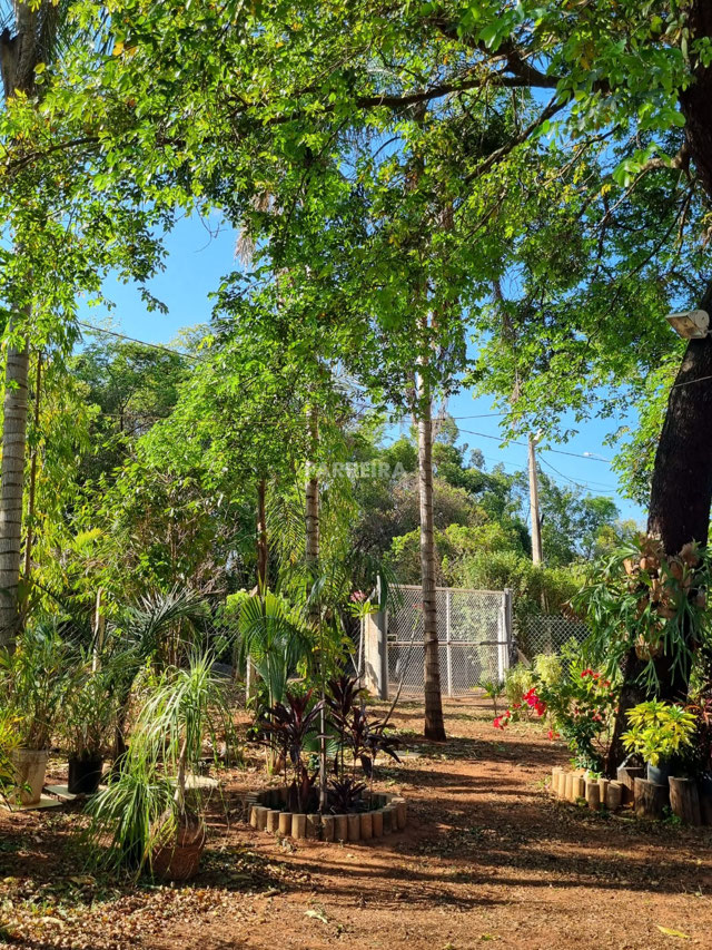 Foto cadastro cód. 14959