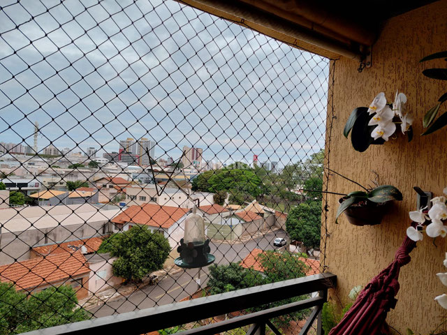 Foto cadastro cód. 16533