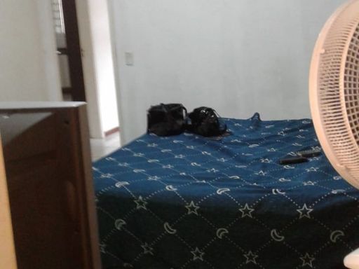 Foto cadastro cód. 3215