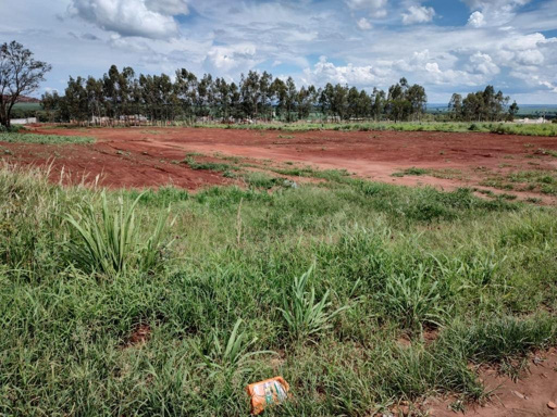 Foto cadastro cód. 14