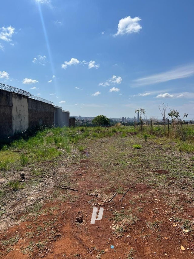 Foto cadastro cód. 141