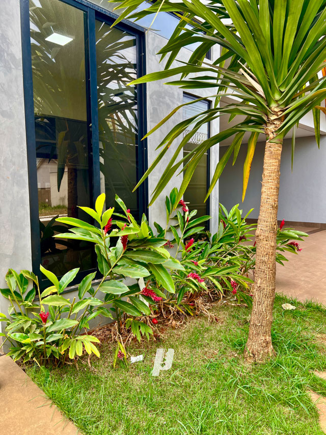 Foto cadastro cód. 3289