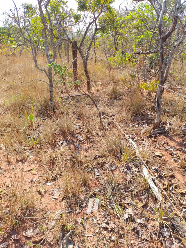 Foto cadastro cód. 3409