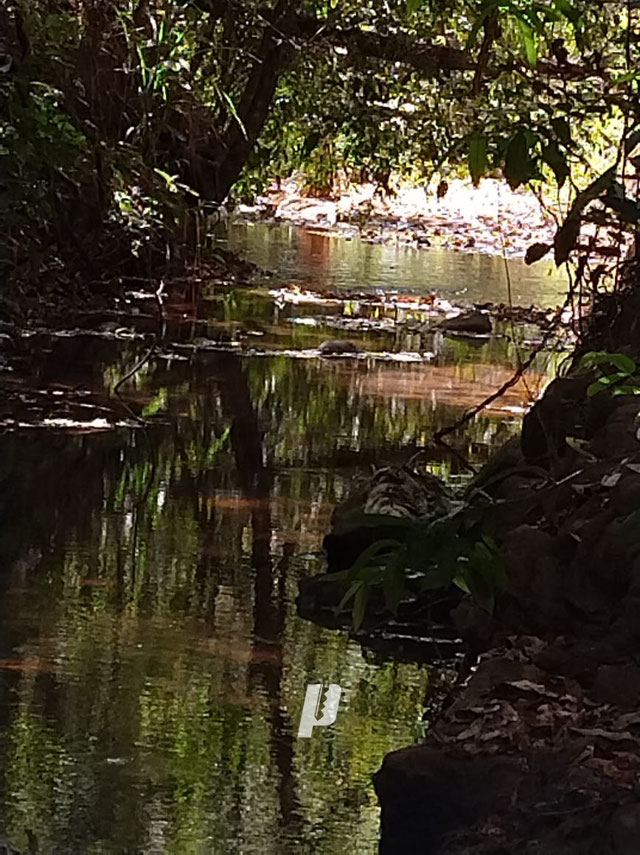 Foto cadastro cód. 3409