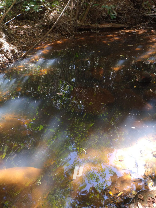 Foto cadastro cód. 3409