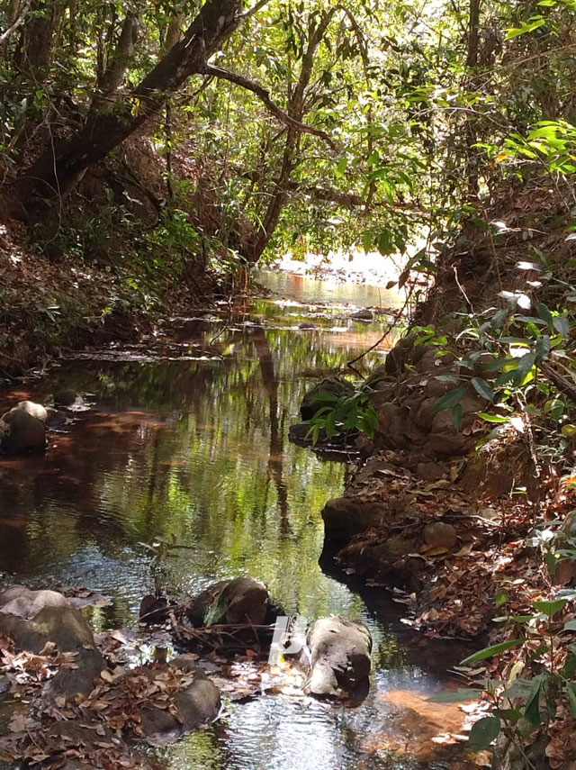 Foto cadastro cód. 3409