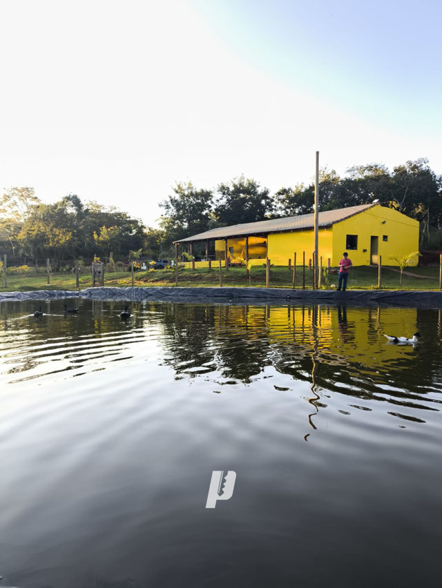 Foto cadastro cód. 3461