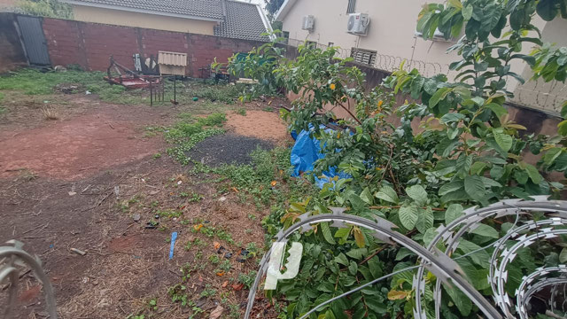 Foto cadastro cód. 3534