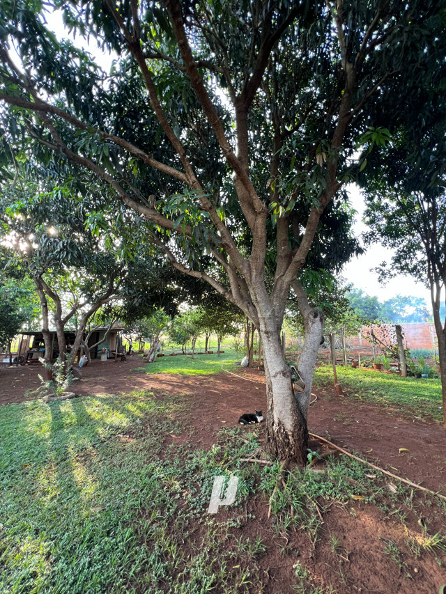 Foto cadastro cód. 3548