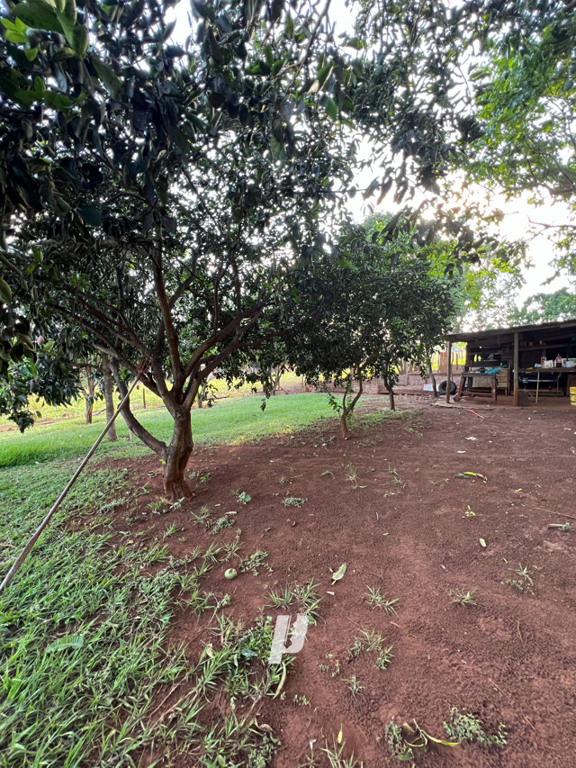 Foto cadastro cód. 3548